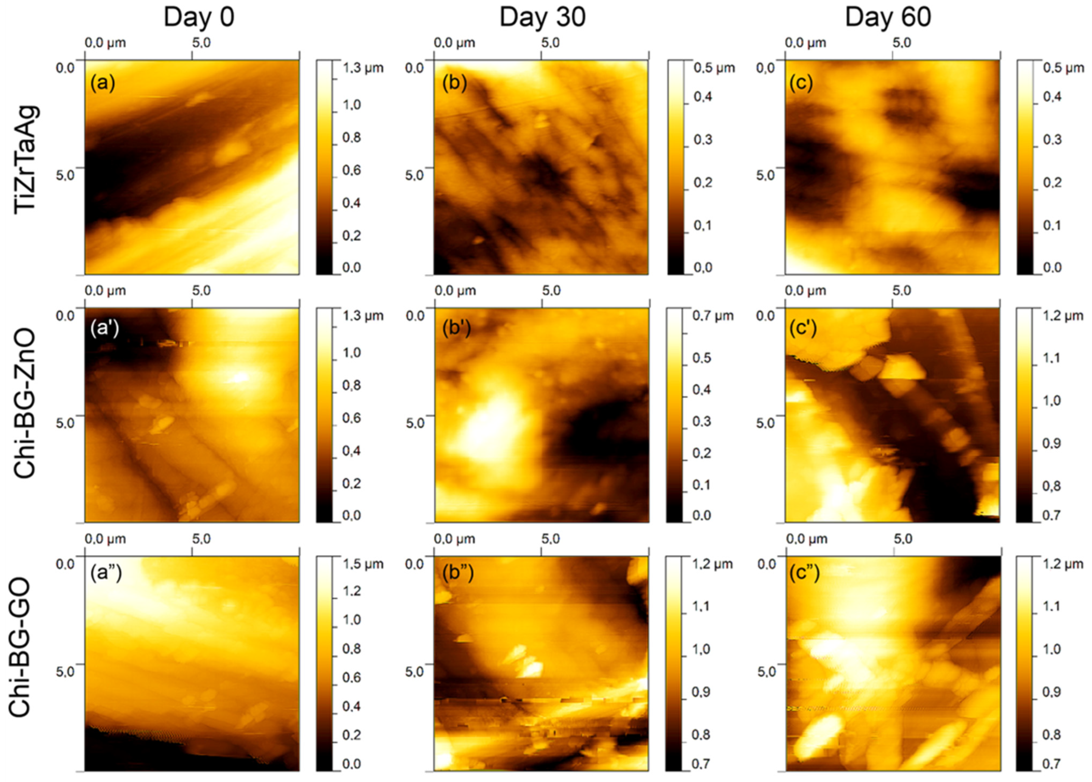 Metals 15 00253 g002