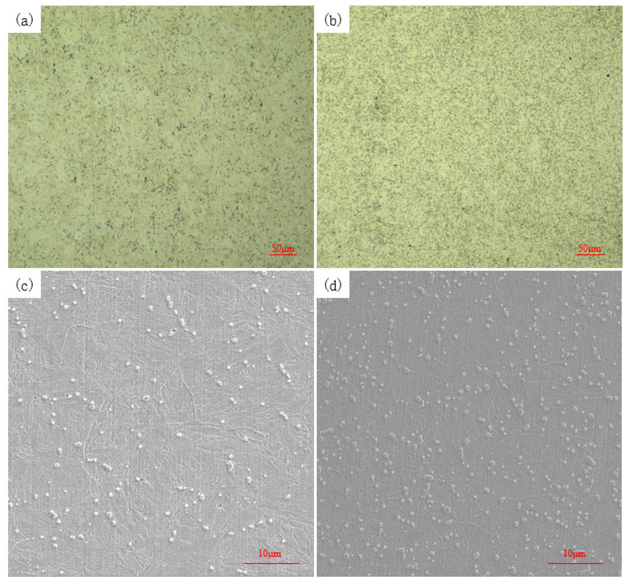 Metals 15 00264 g008