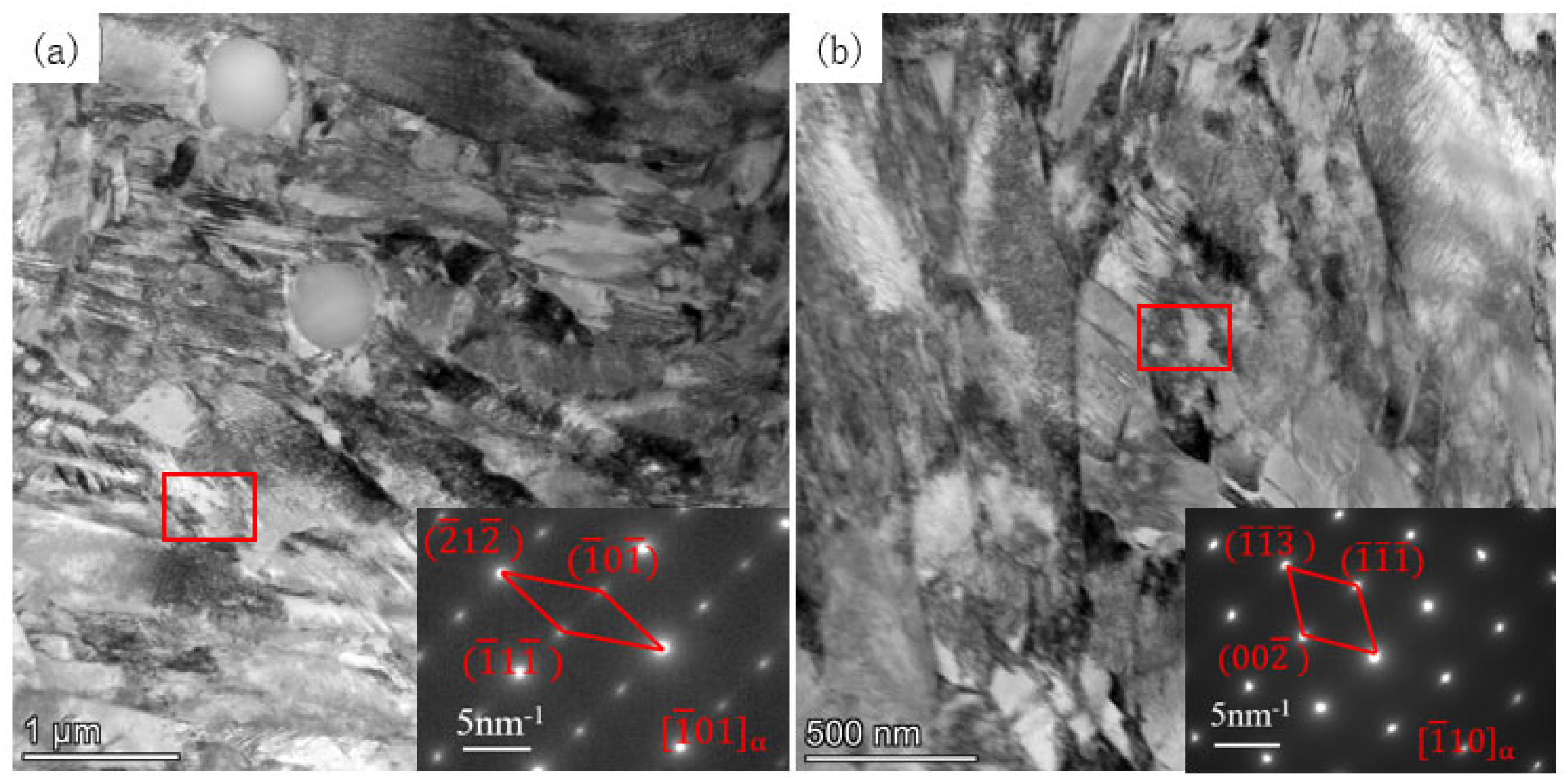 Metals 15 00264 g010