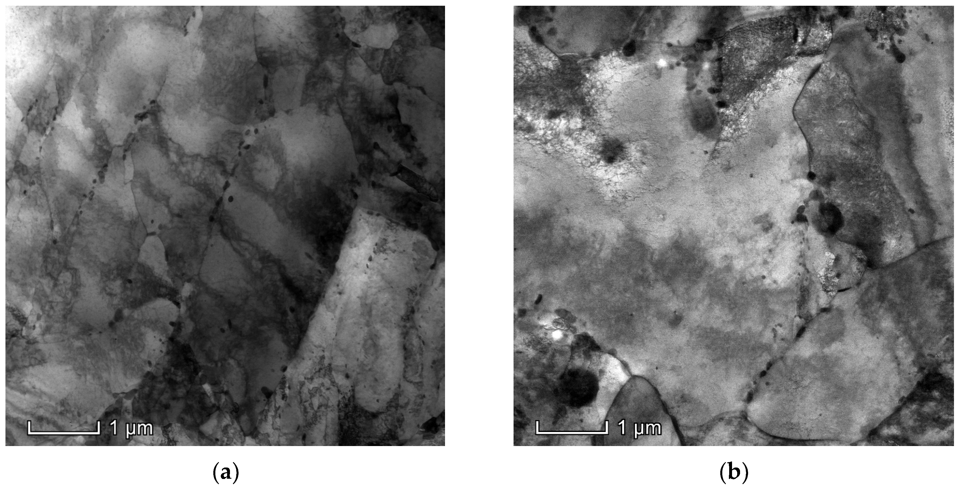 Metals 15 00266 g007