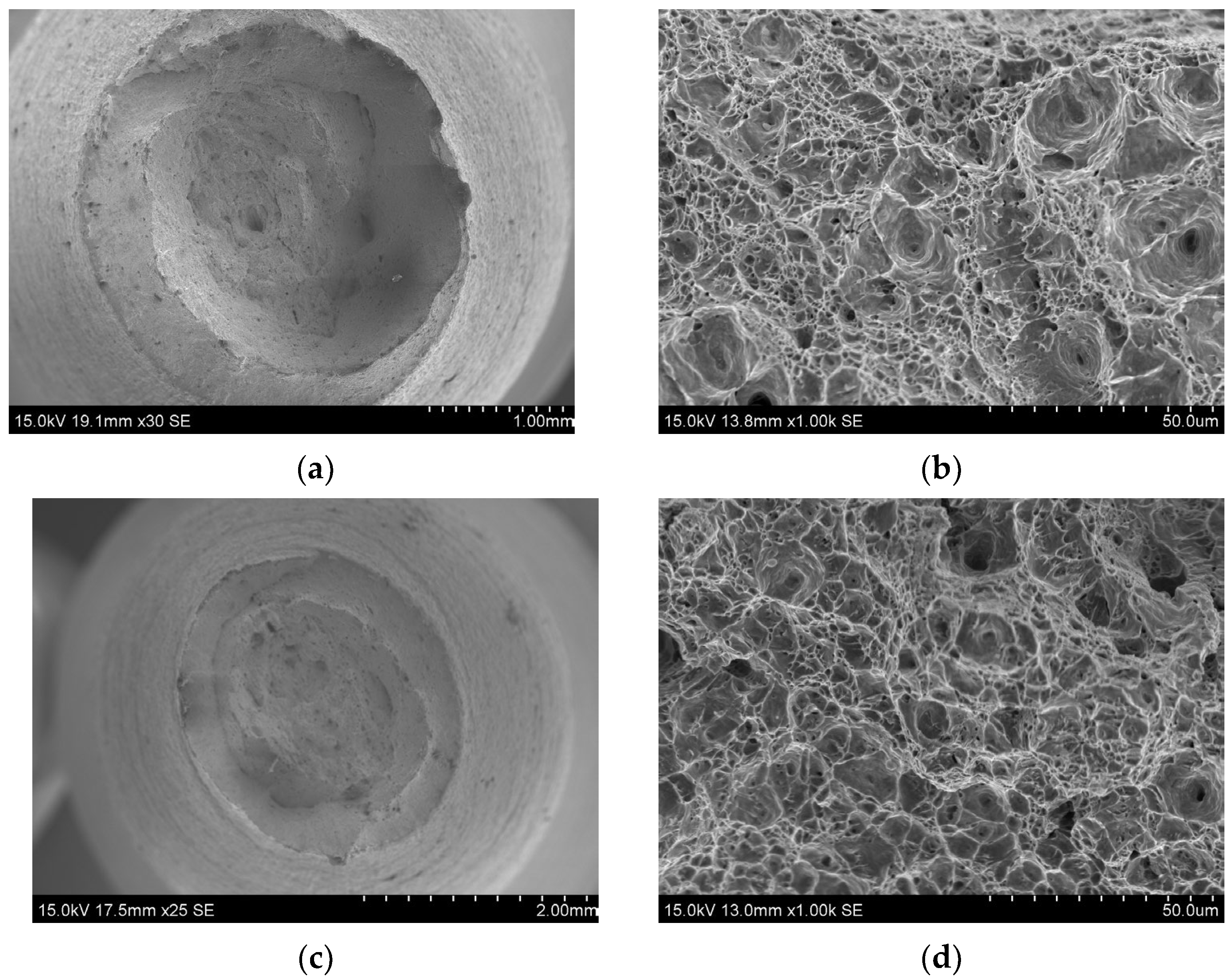 Metals 15 00266 g013