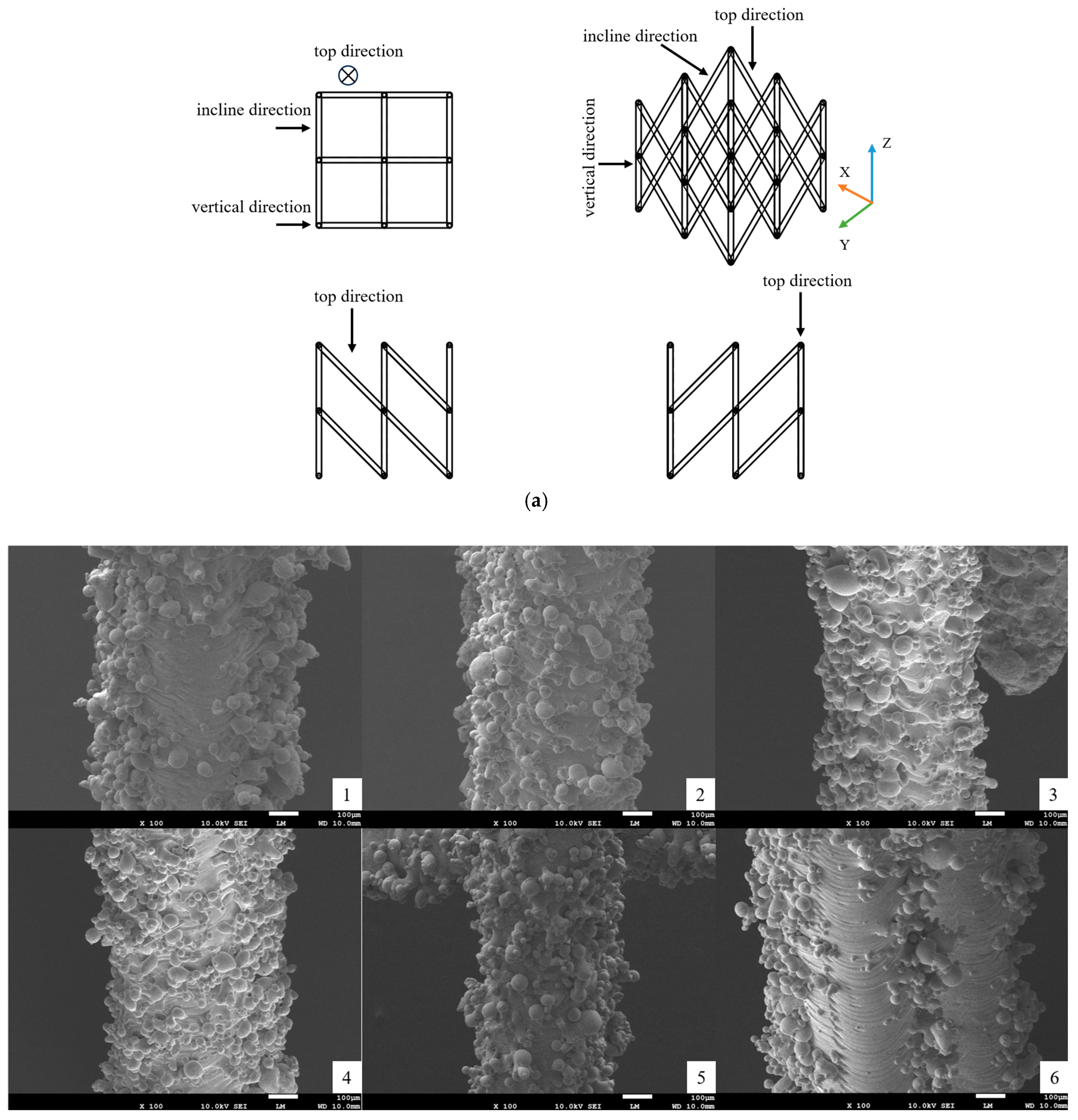 Metals 15 00267 g003a