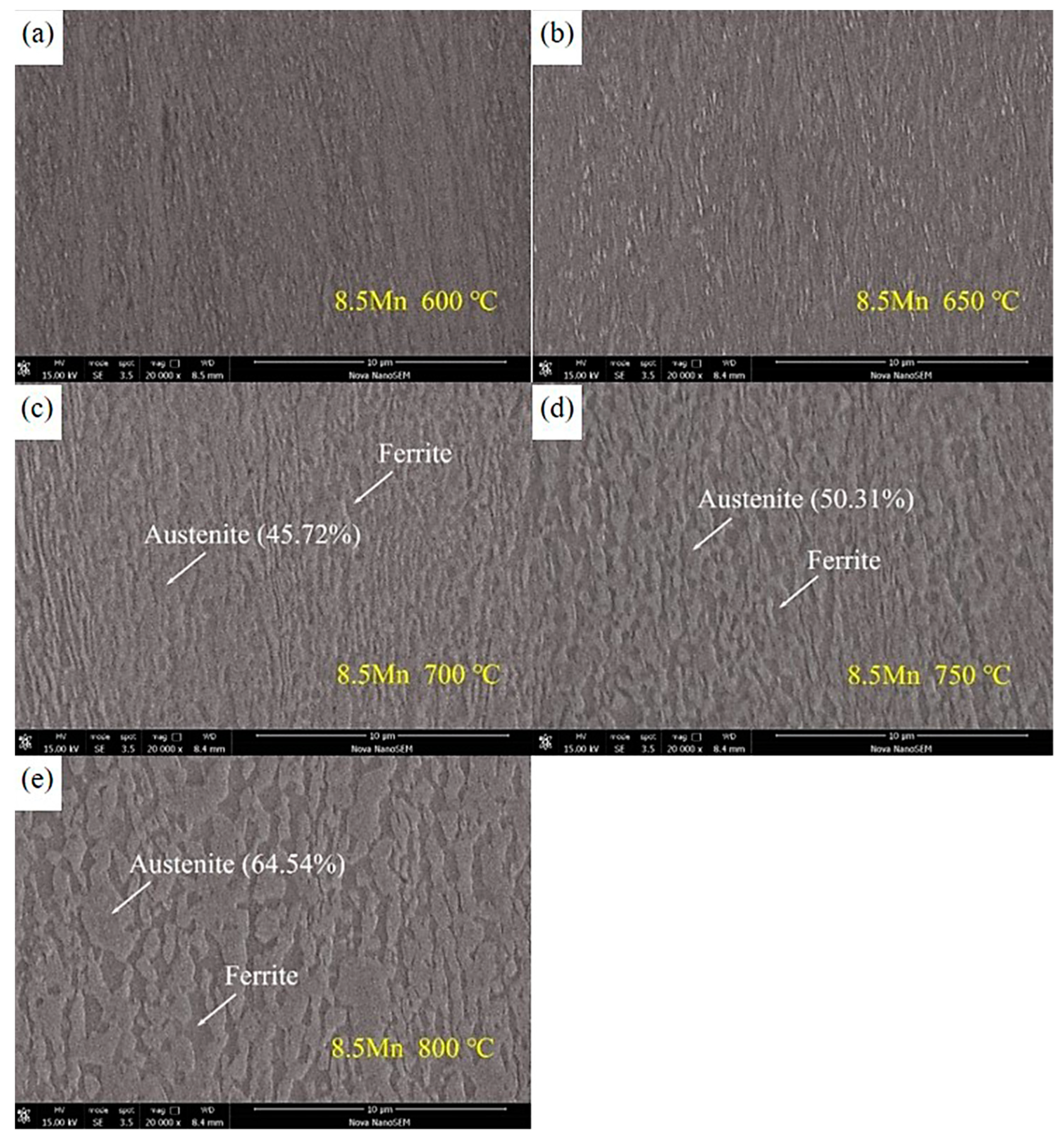 Metals 15 00275 g002