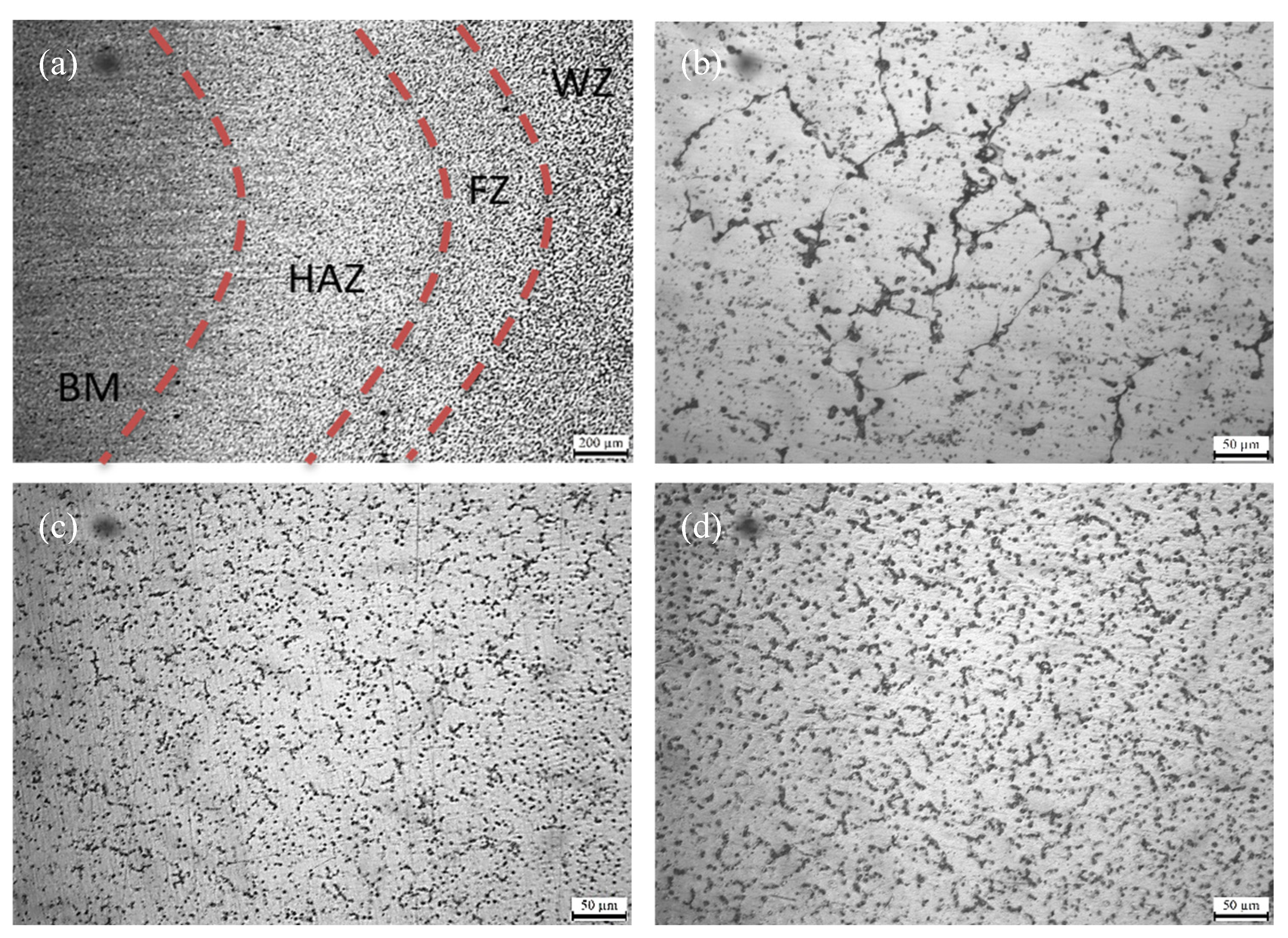Metals 15 00287 g003