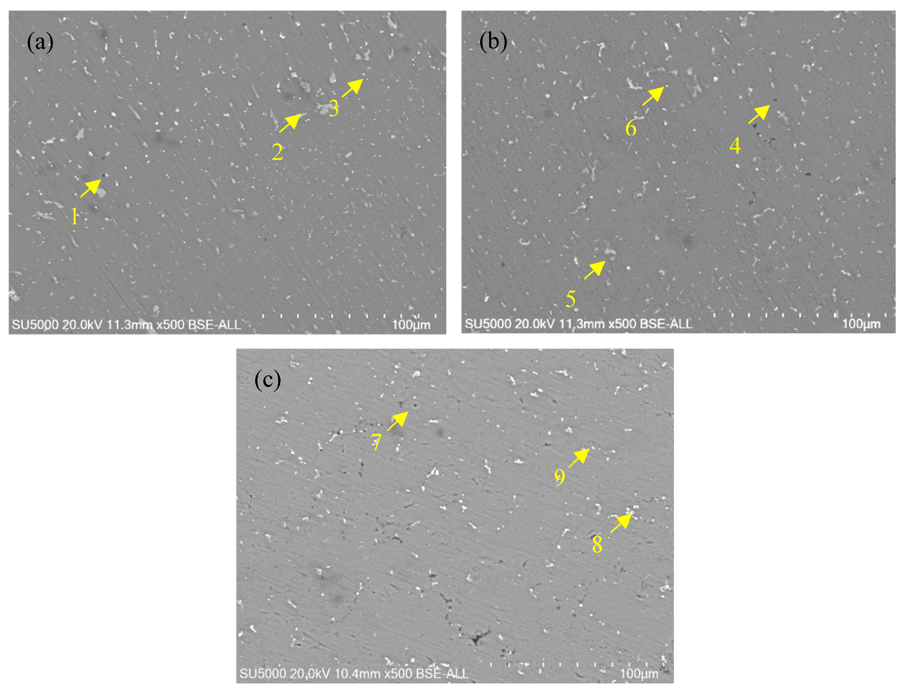 Metals 15 00287 g005