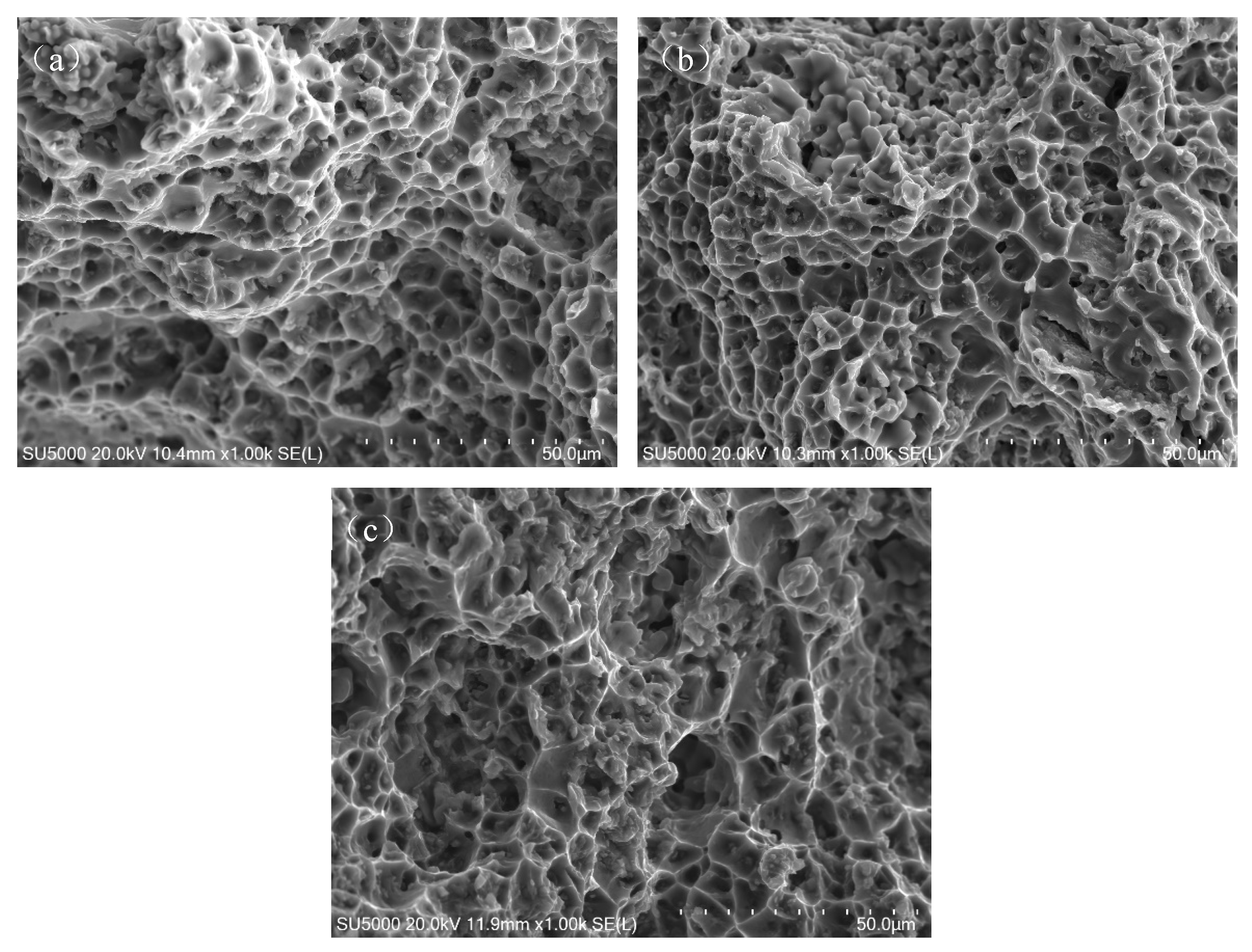 Metals 15 00287 g011