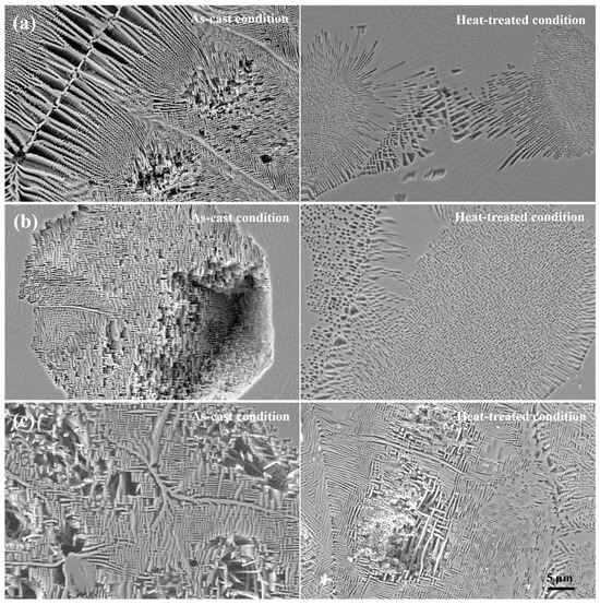Effects of Heat Treatment on Microstructures and Corrosion