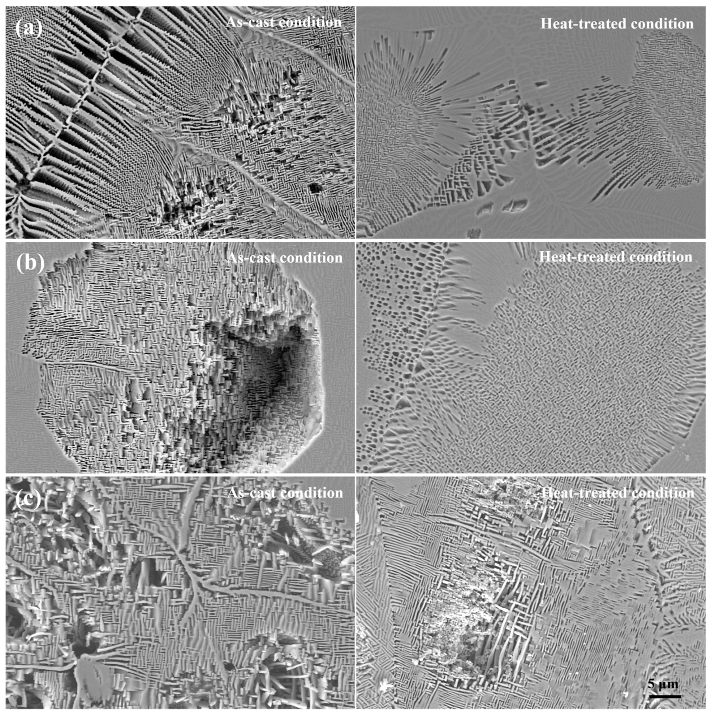 Metals 15 00292 g005