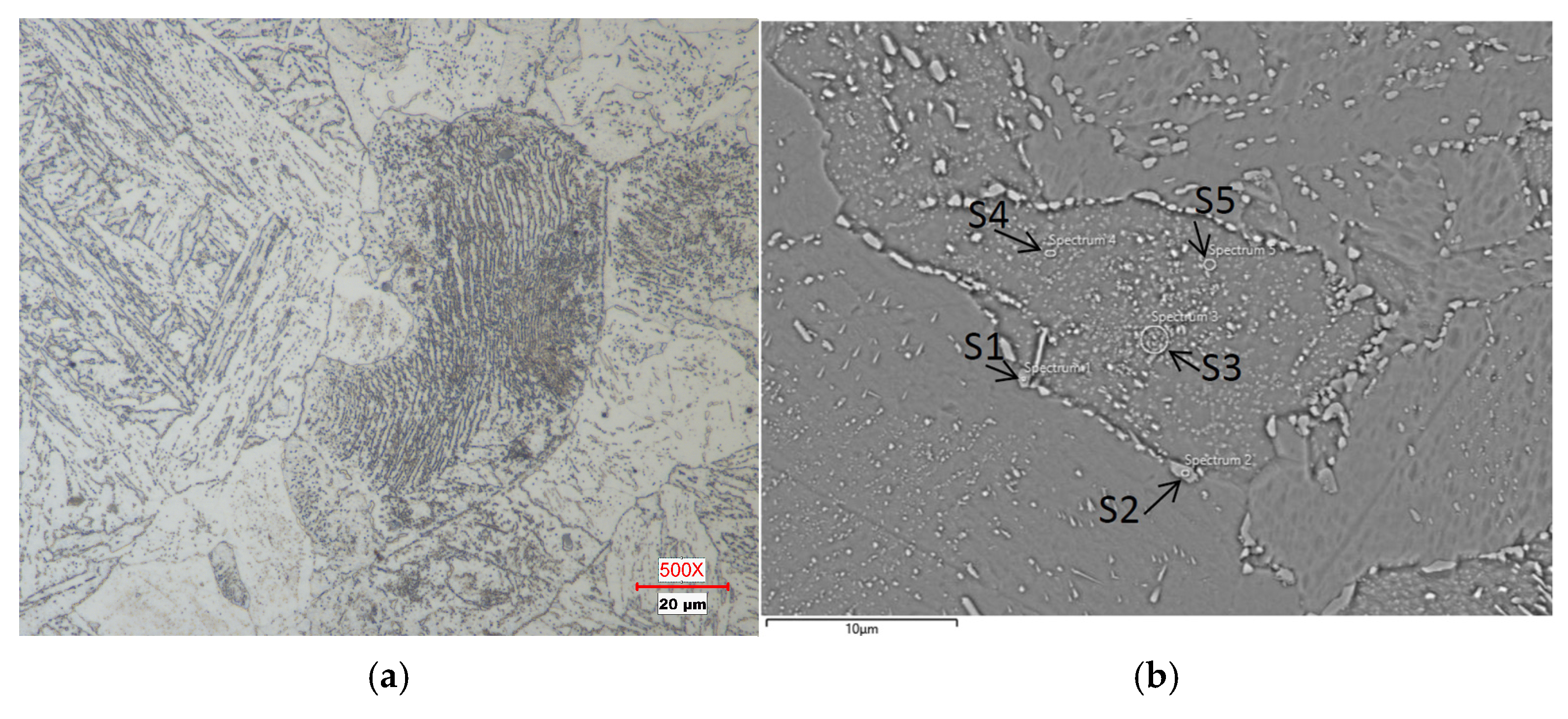 Metals 15 00305 g010