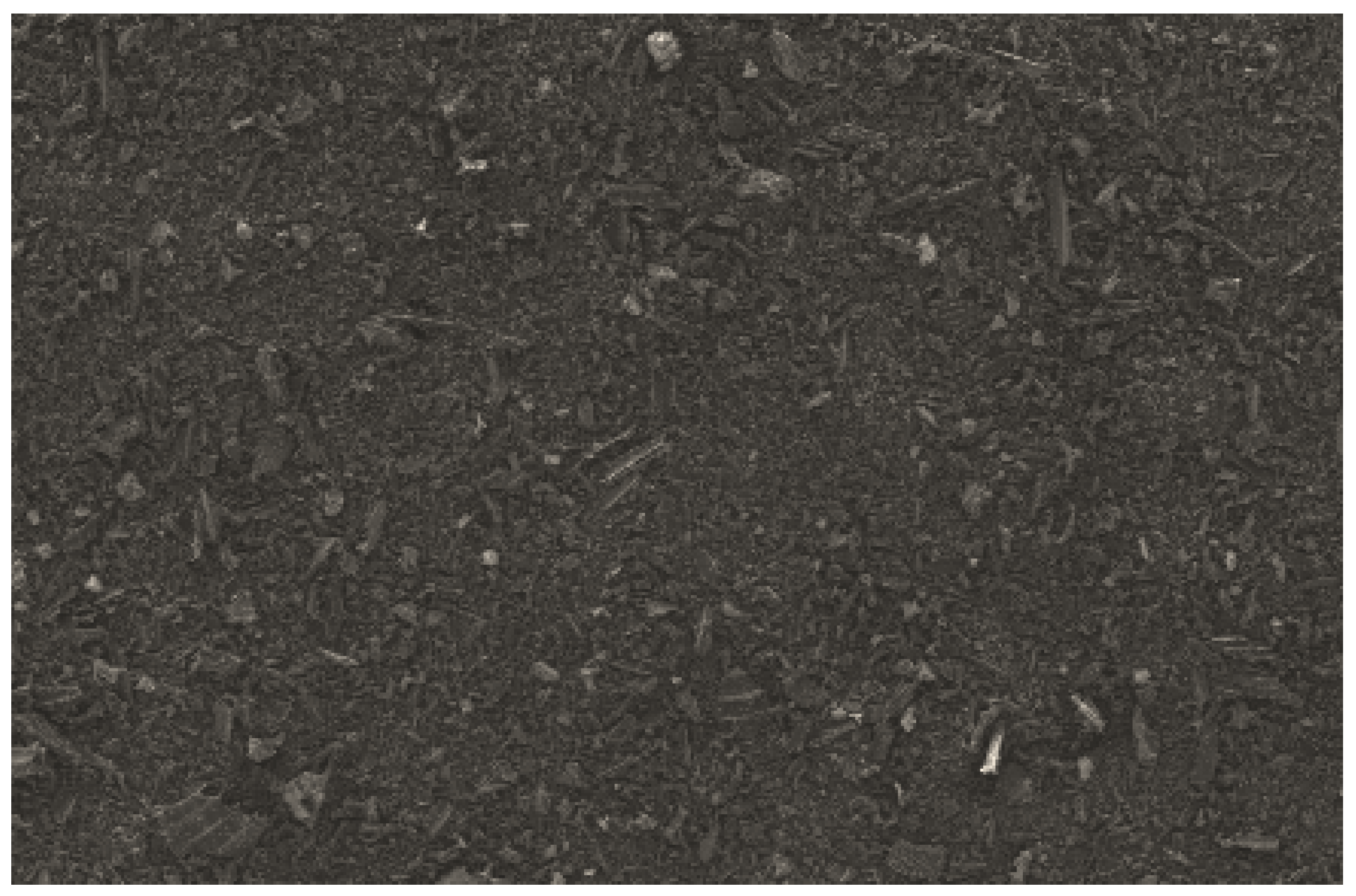 Metals 15 00308 g001