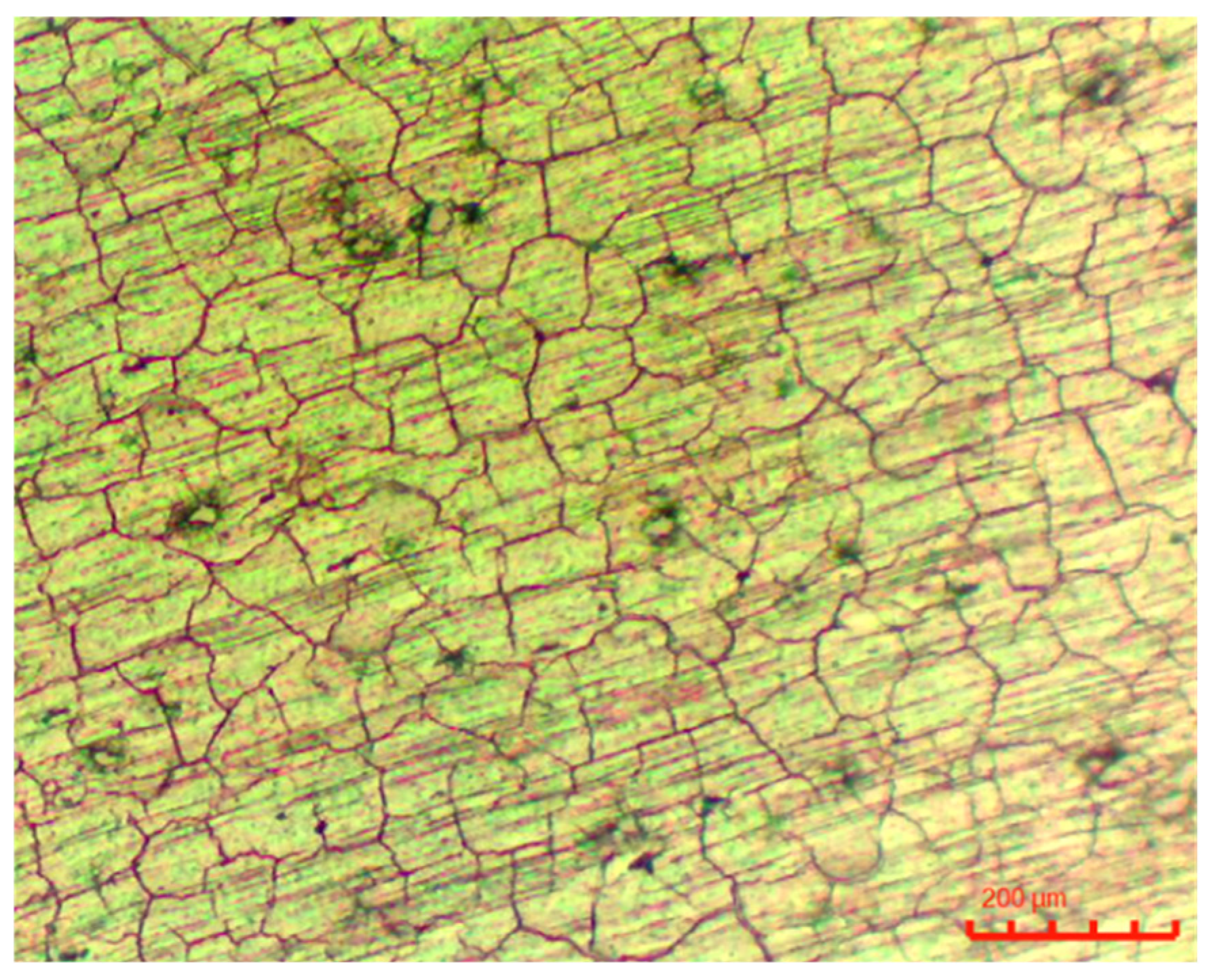 Metals 15 00308 g006