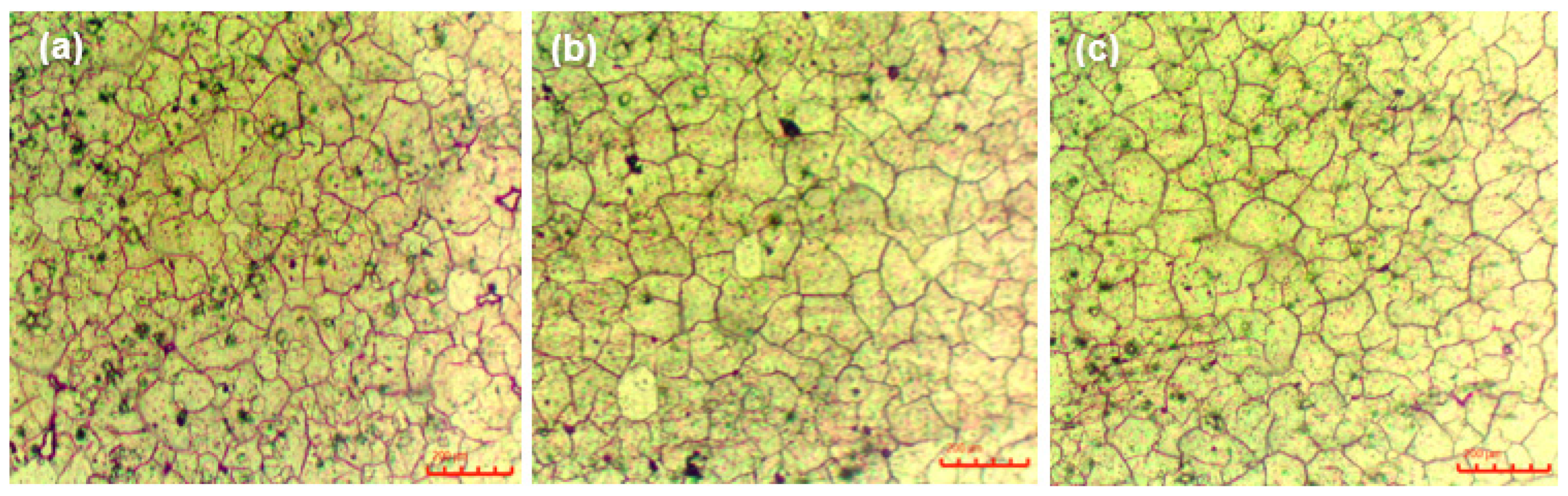 Metals 15 00308 g007