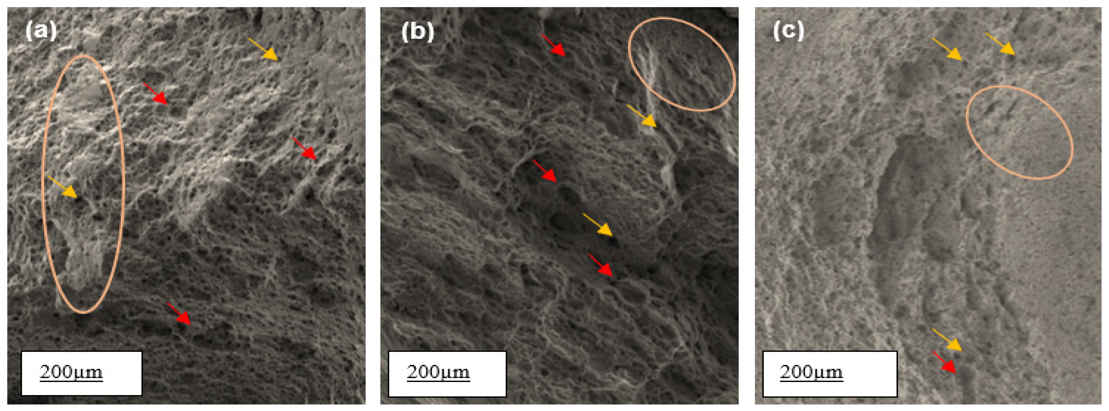 Metals 15 00308 g013