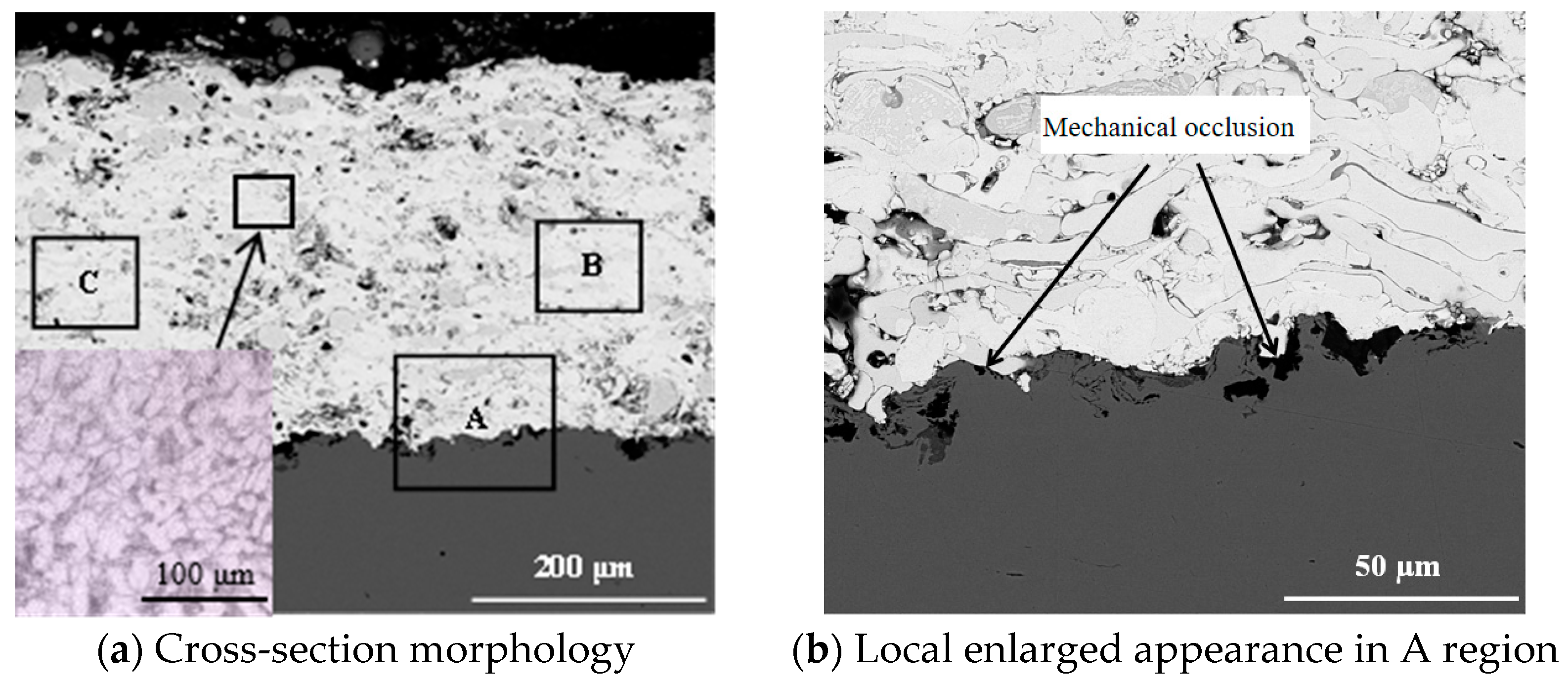Metals 15 00309 g005a