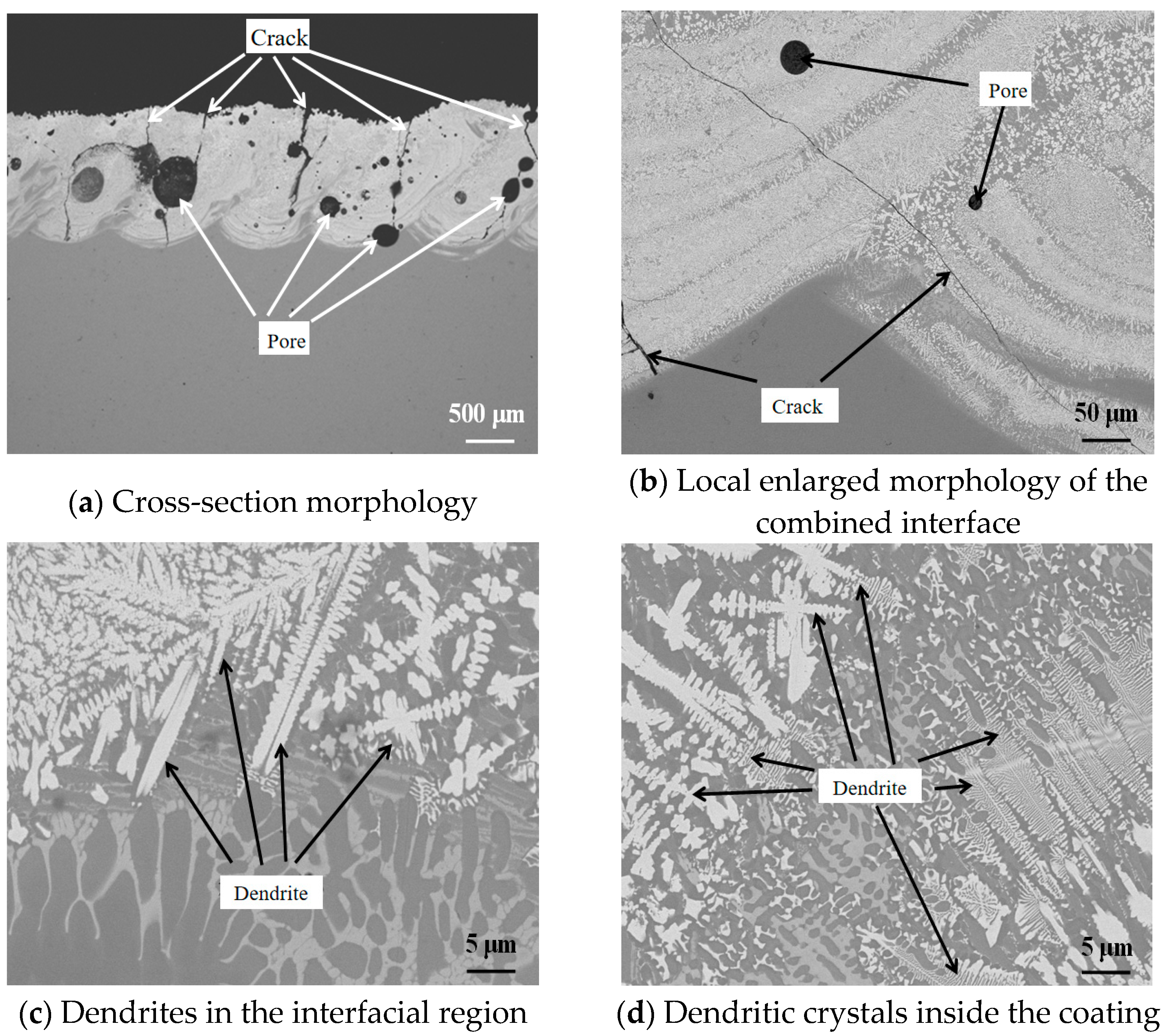 Metals 15 00309 g007