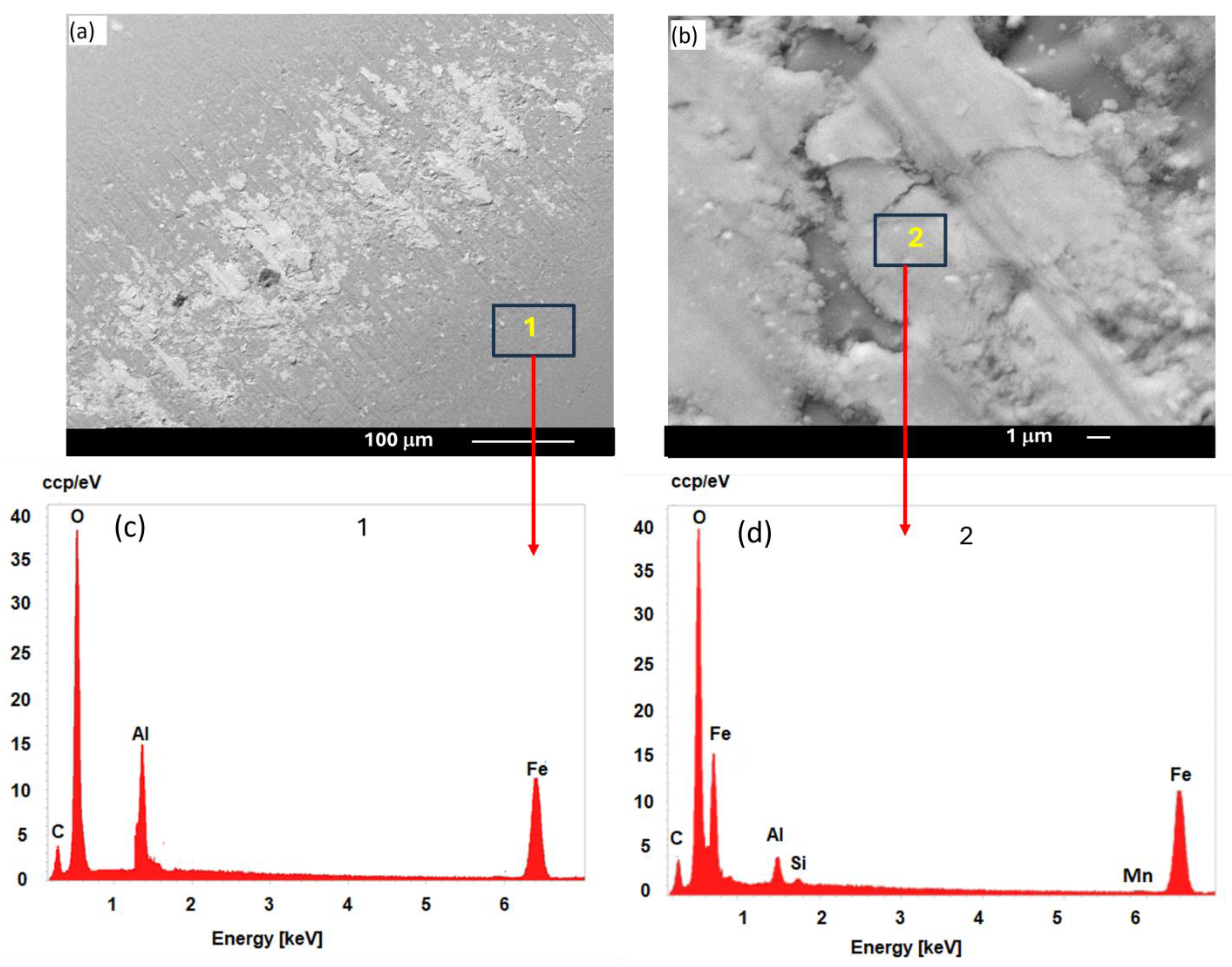 Metals 15 00319 g012