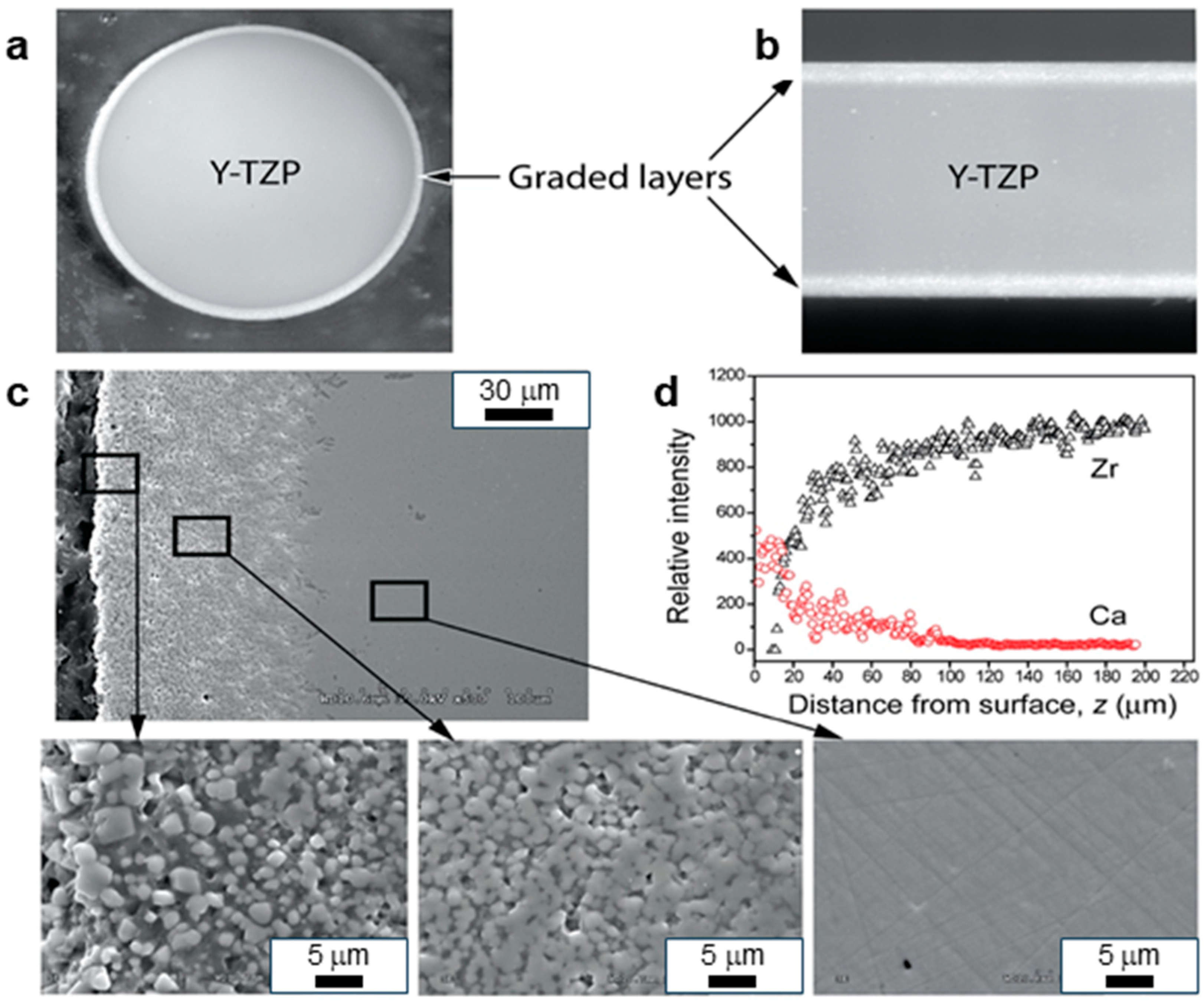 Metals 15 00320 g005