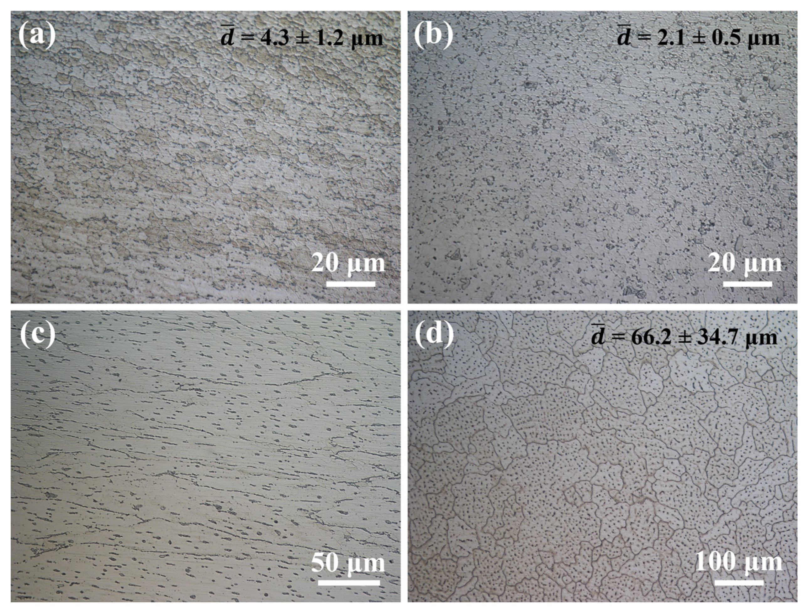 Metals 15 00331 g006