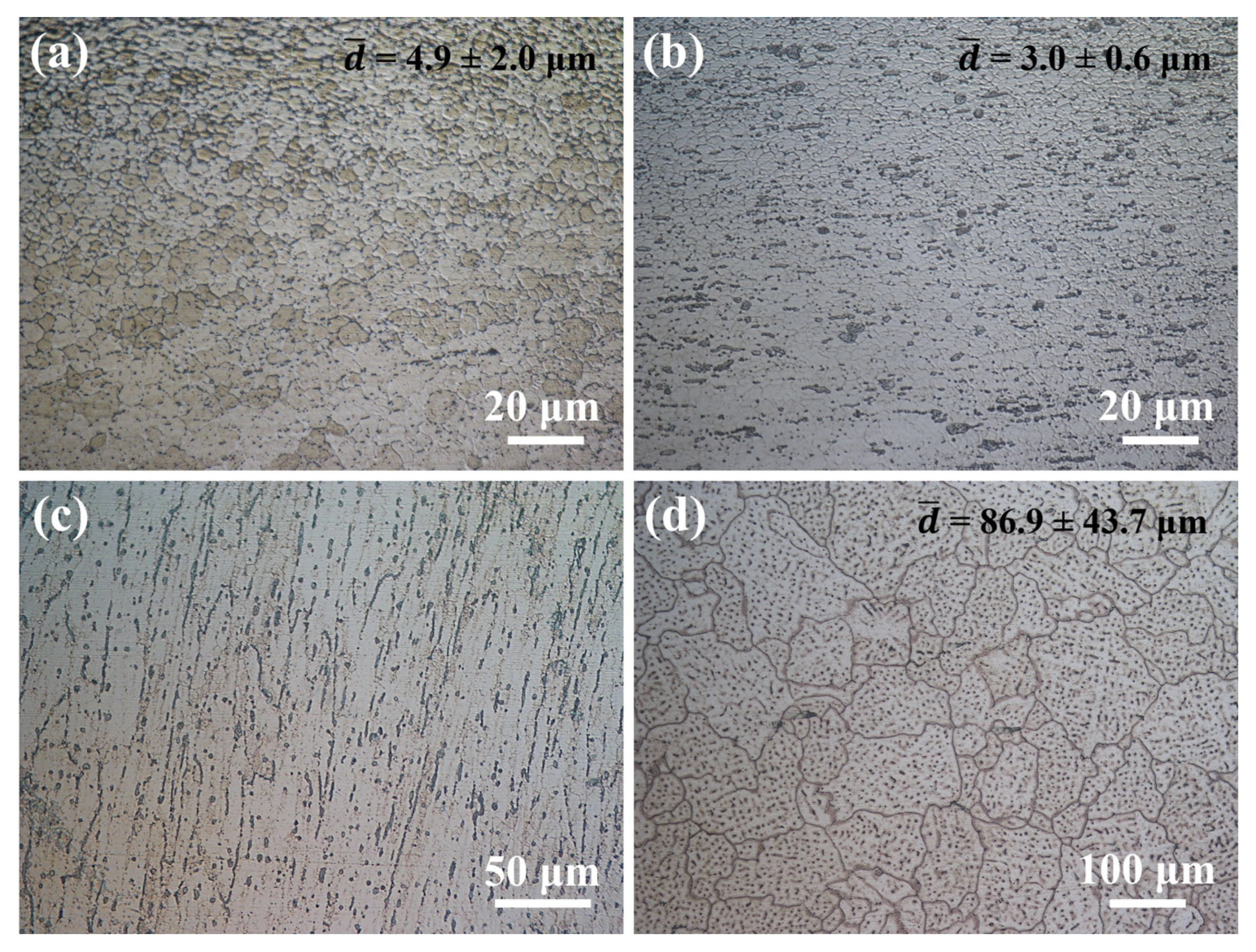 Metals 15 00331 g008