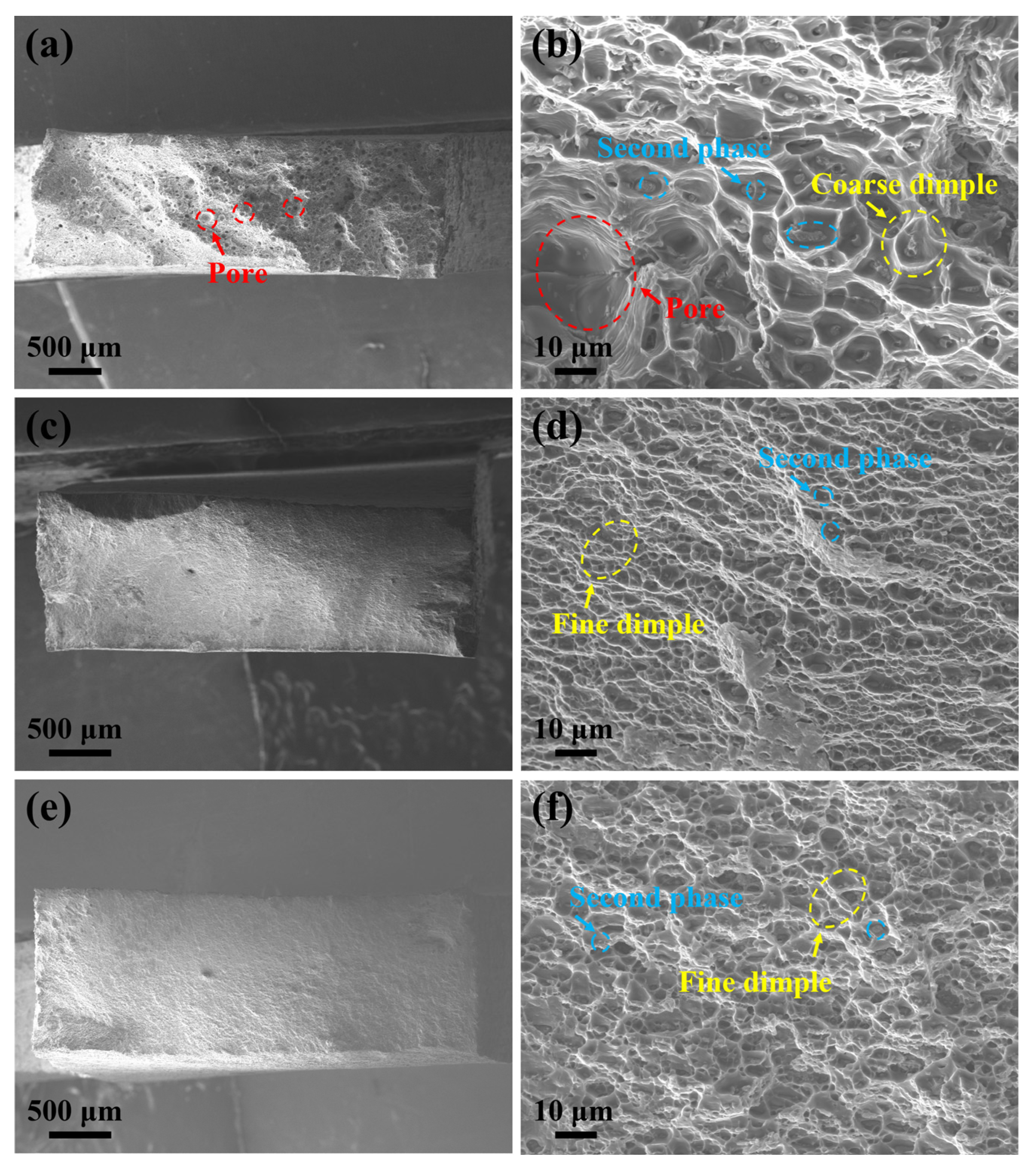 Metals 15 00331 g014