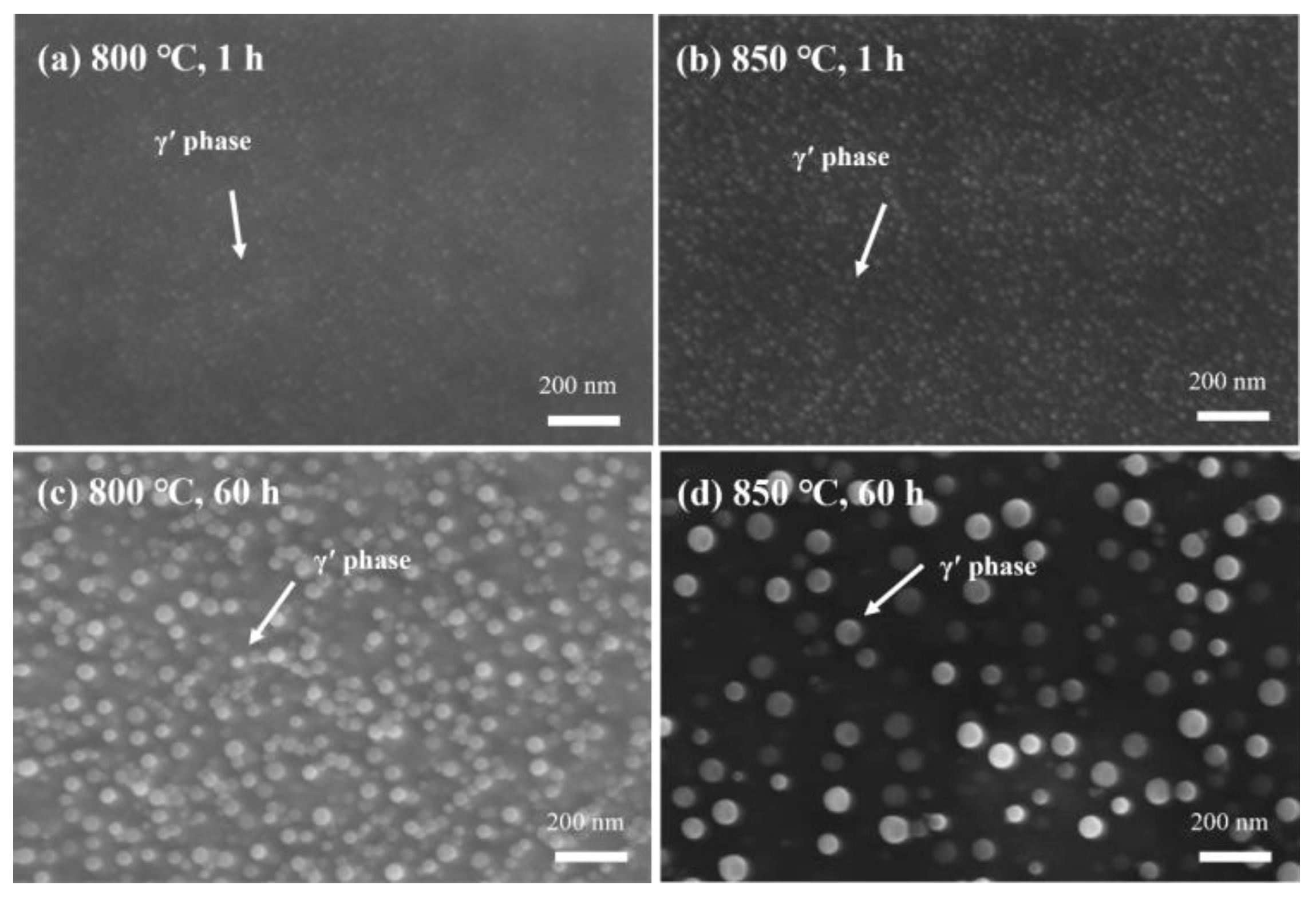 Metals 15 00345 g015