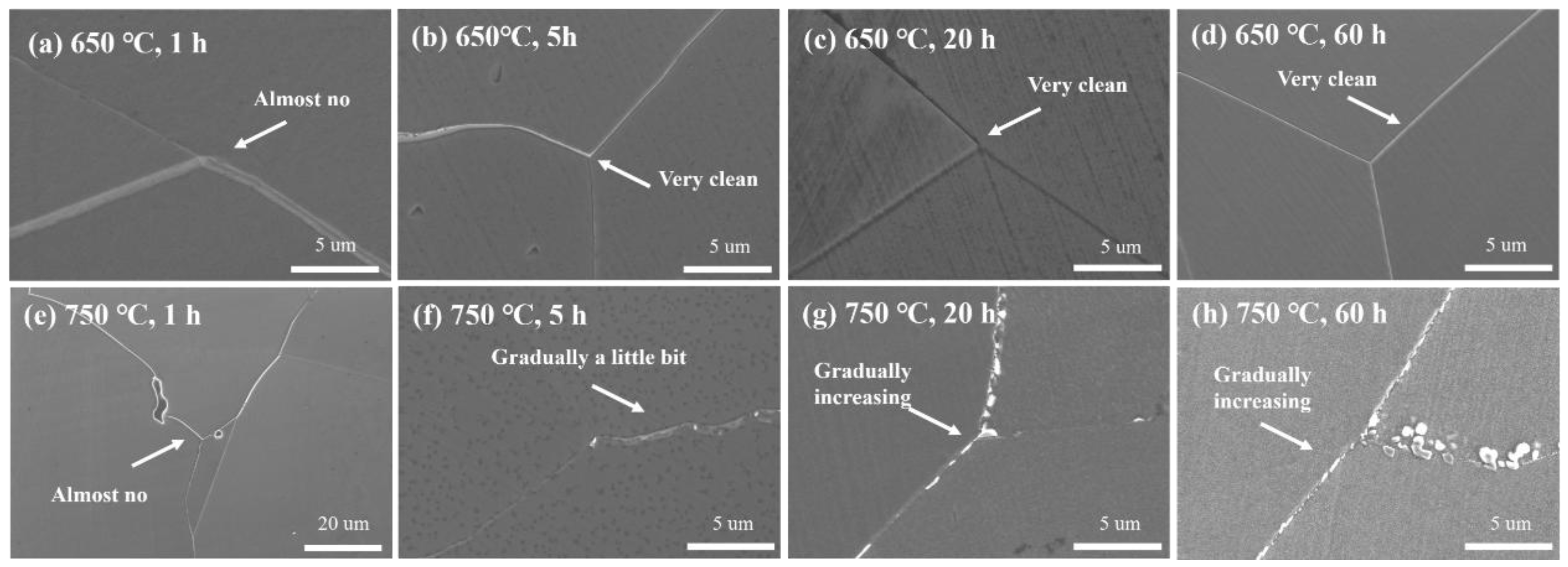 Metals 15 00345 g016
