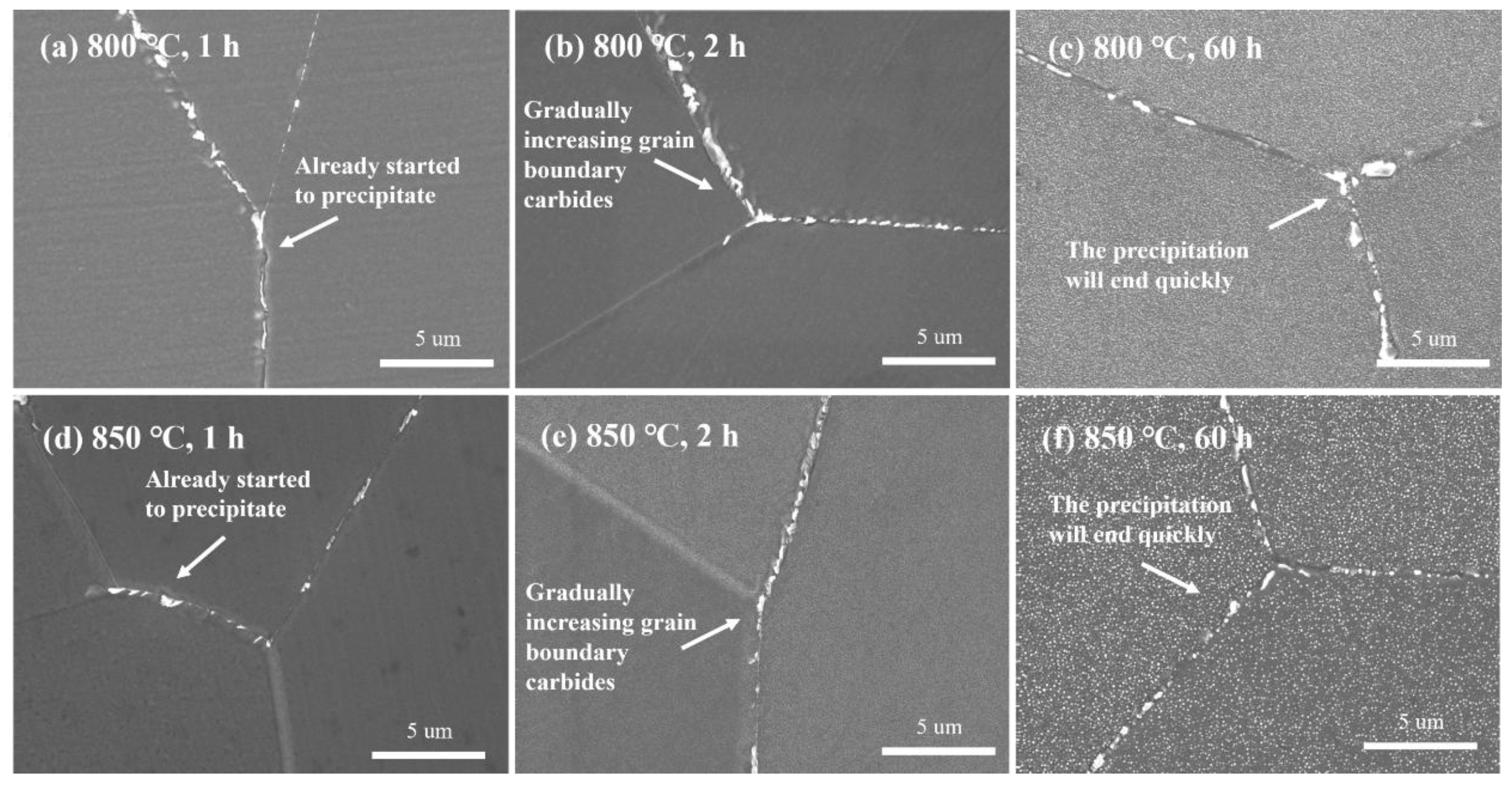 Metals 15 00345 g017