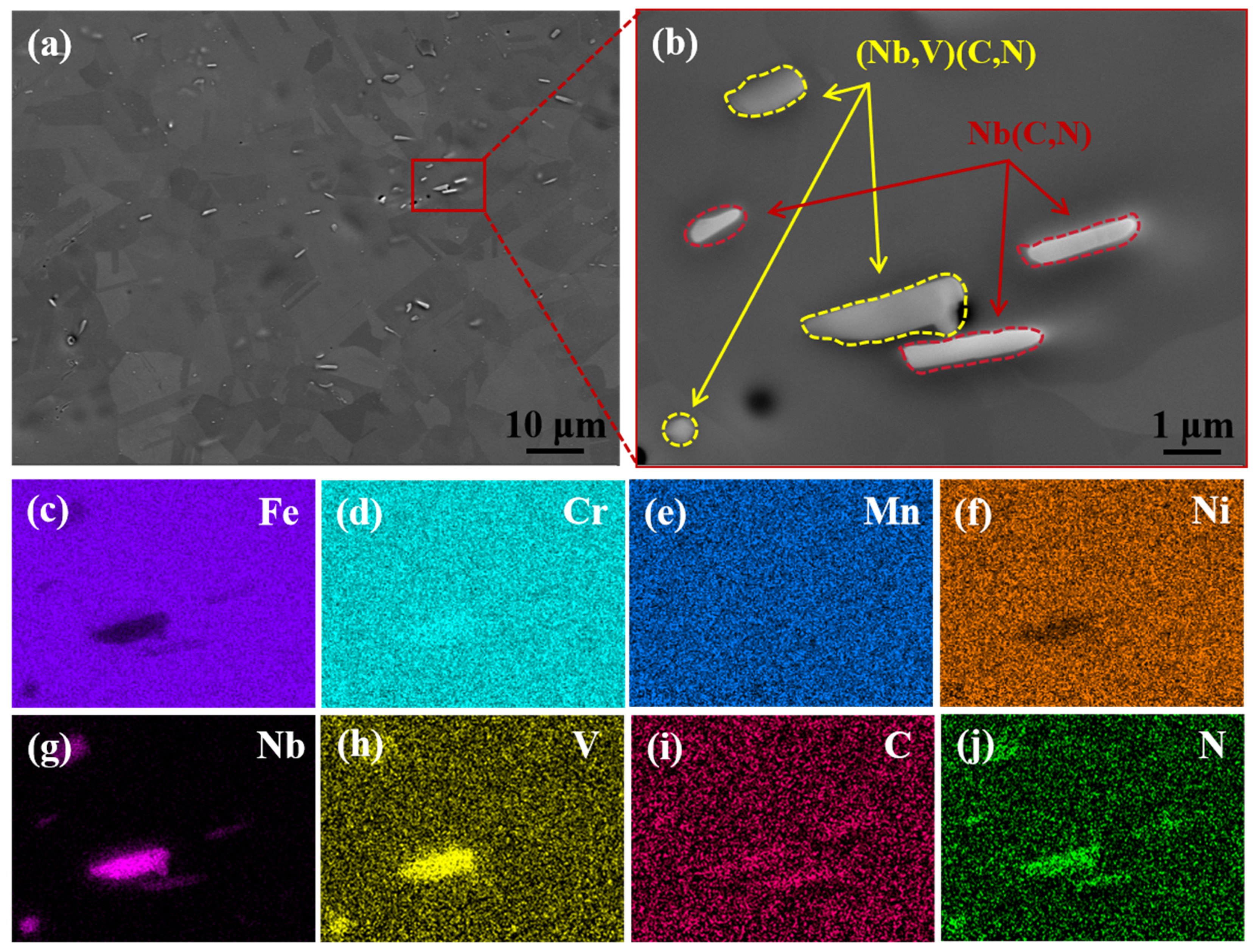 Metals 15 00347 g005