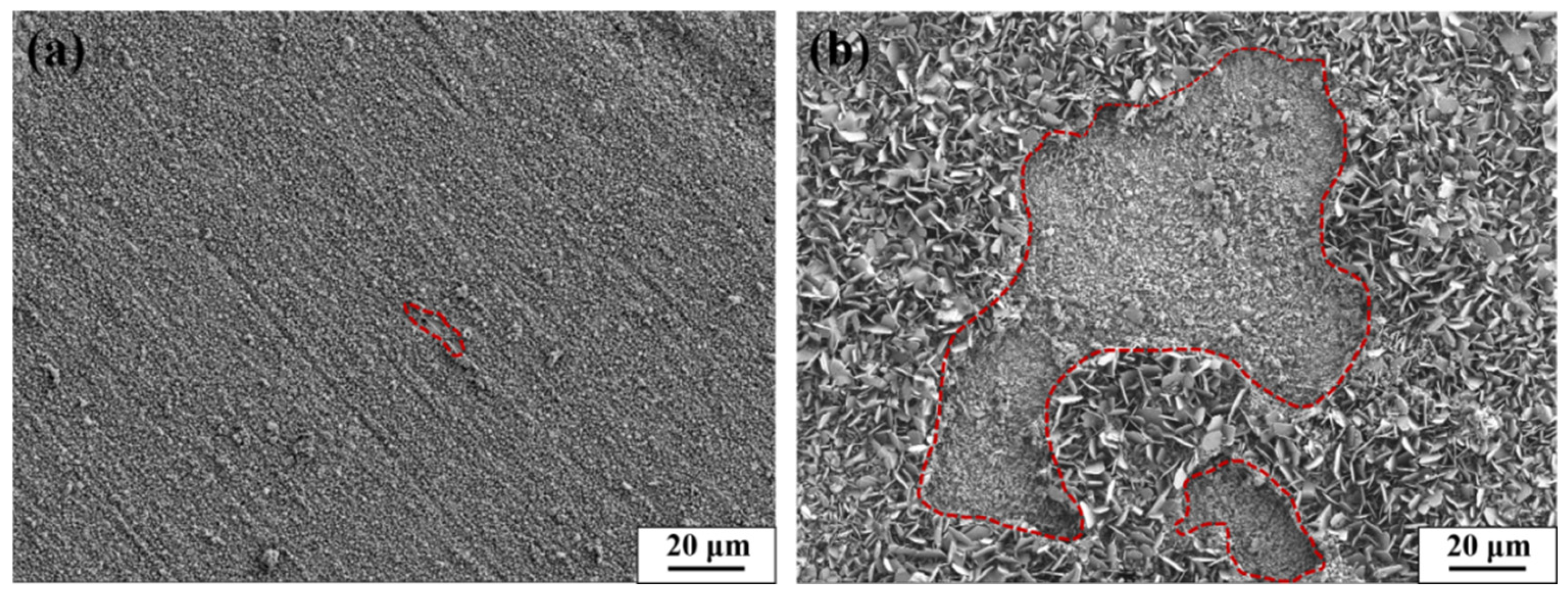 Metals 15 00347 g009