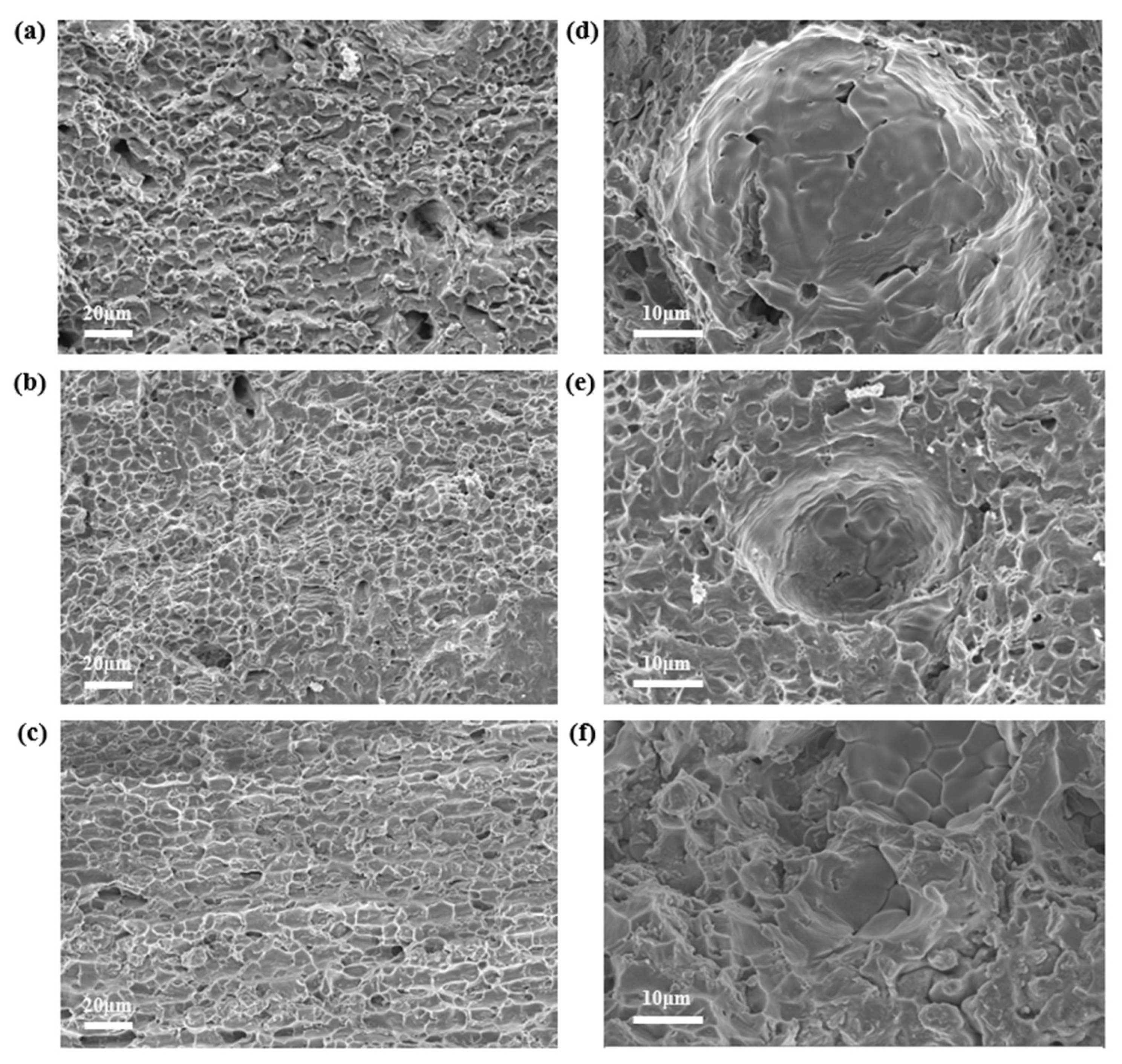 Metals 15 00348 g015