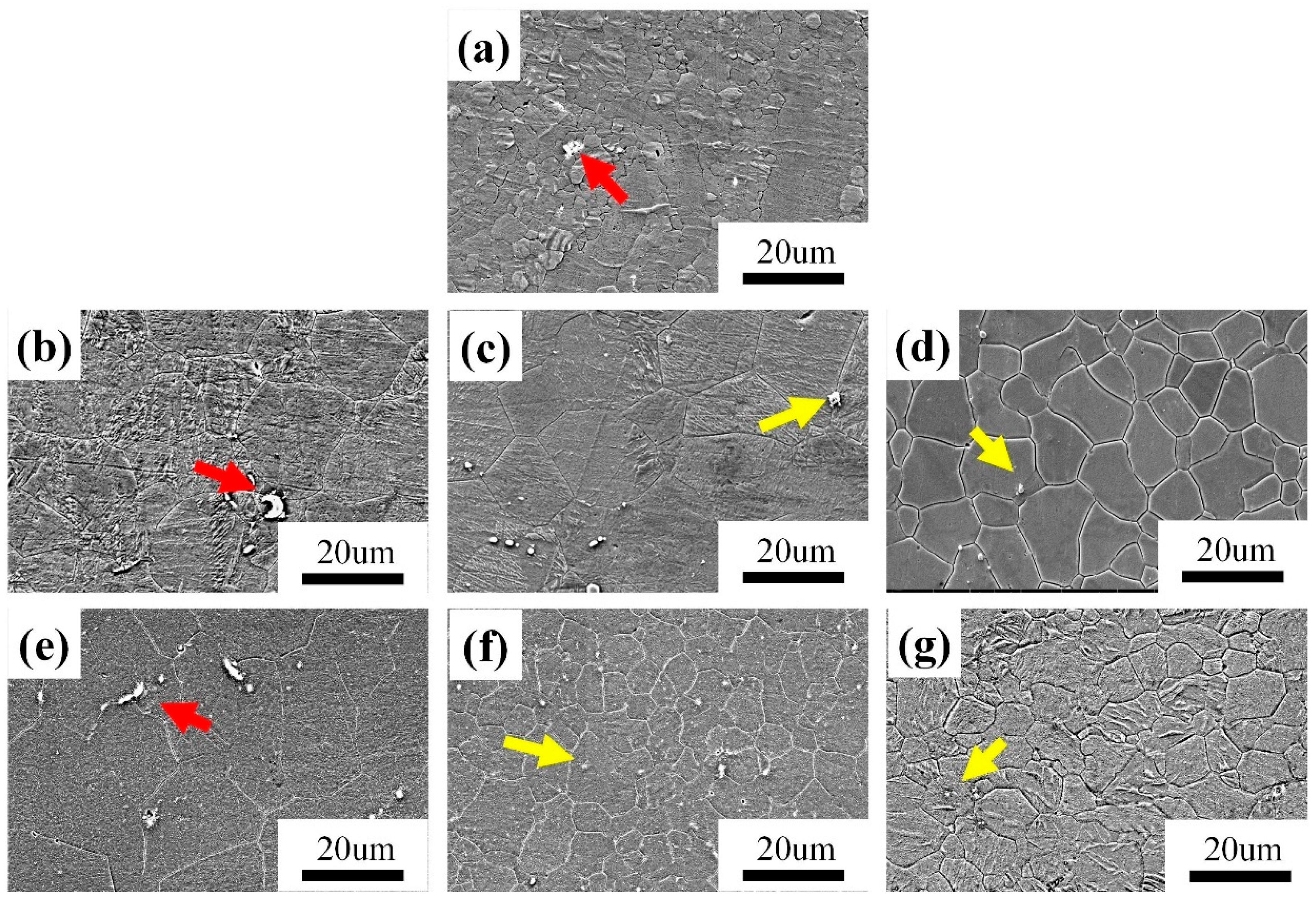 Metals 15 00349 g002