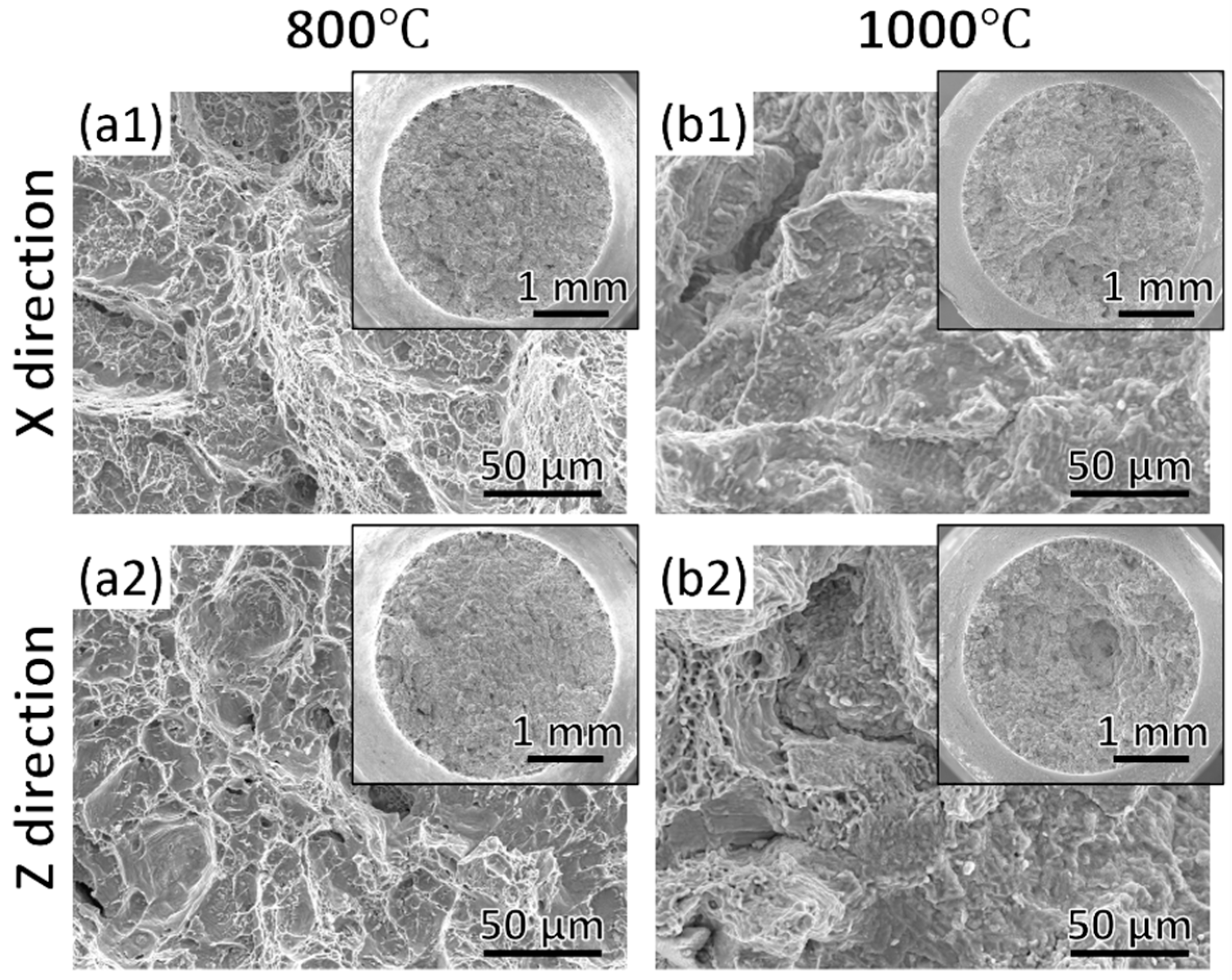 Metals 15 00381 g009