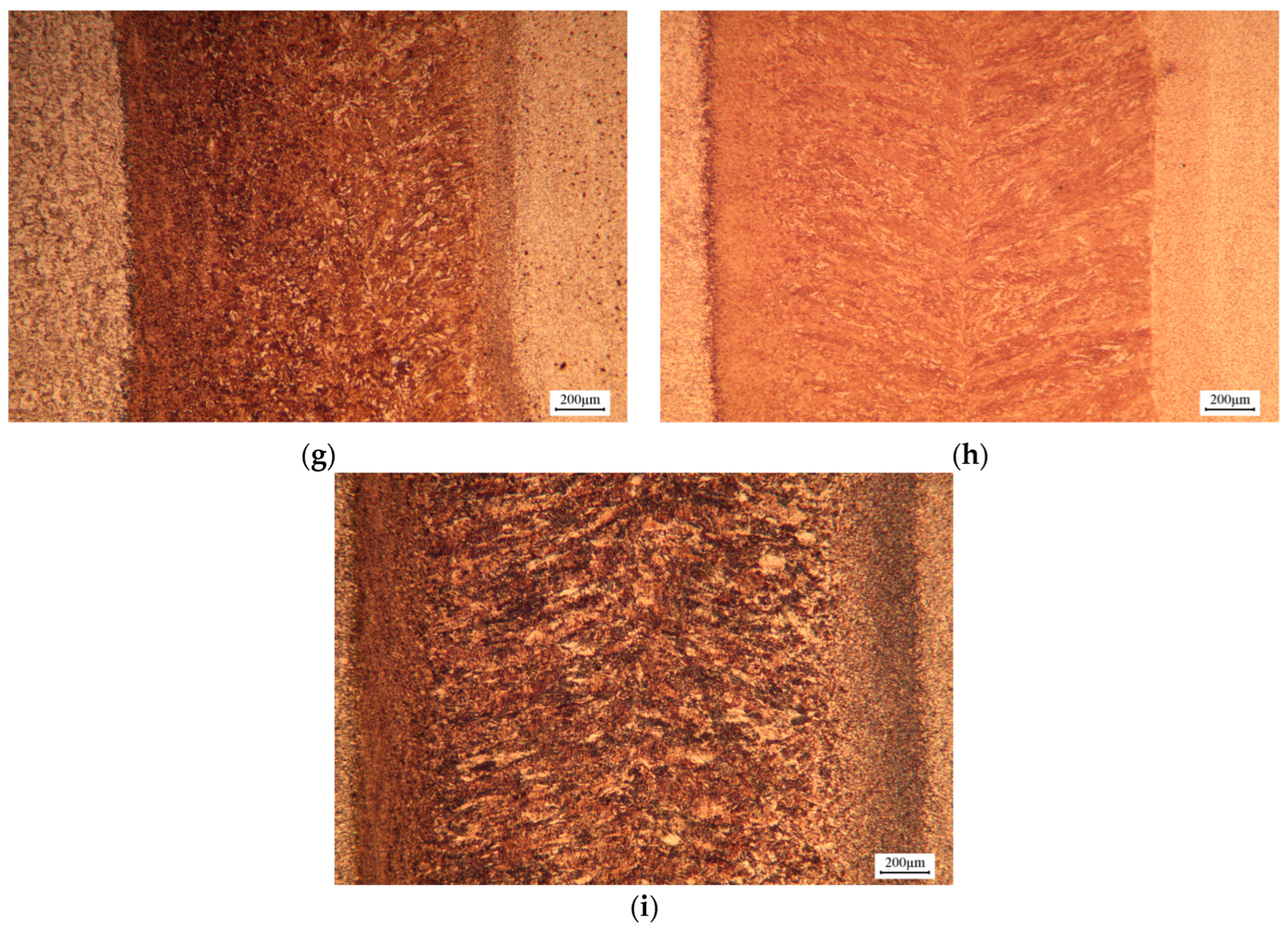 Metals 15 00393 g009b