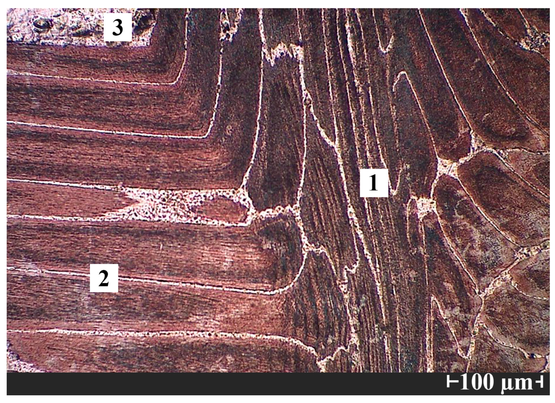 Metals 15 00394 g006