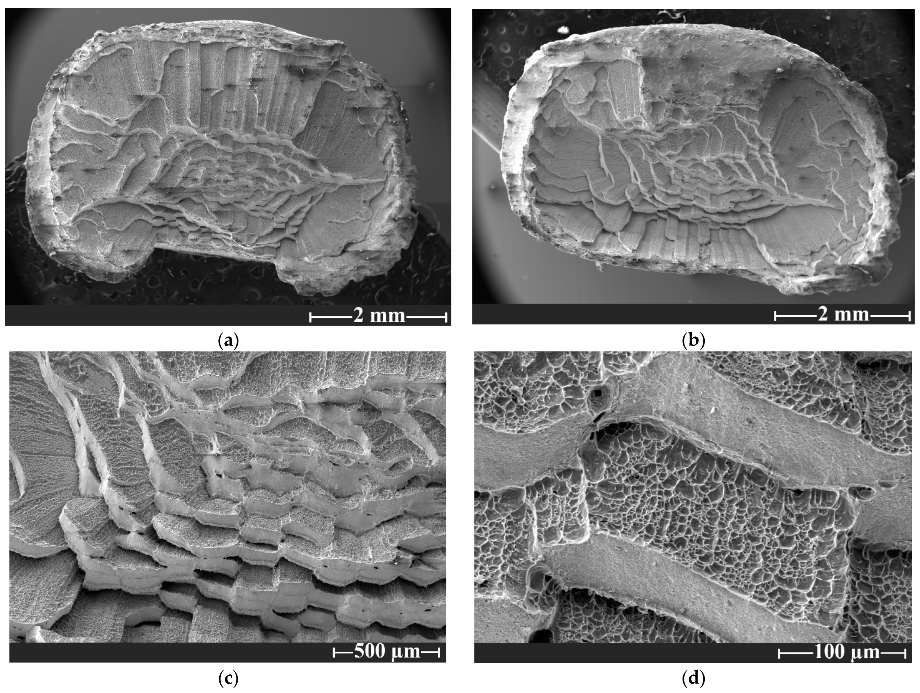 Metals 15 00394 g009