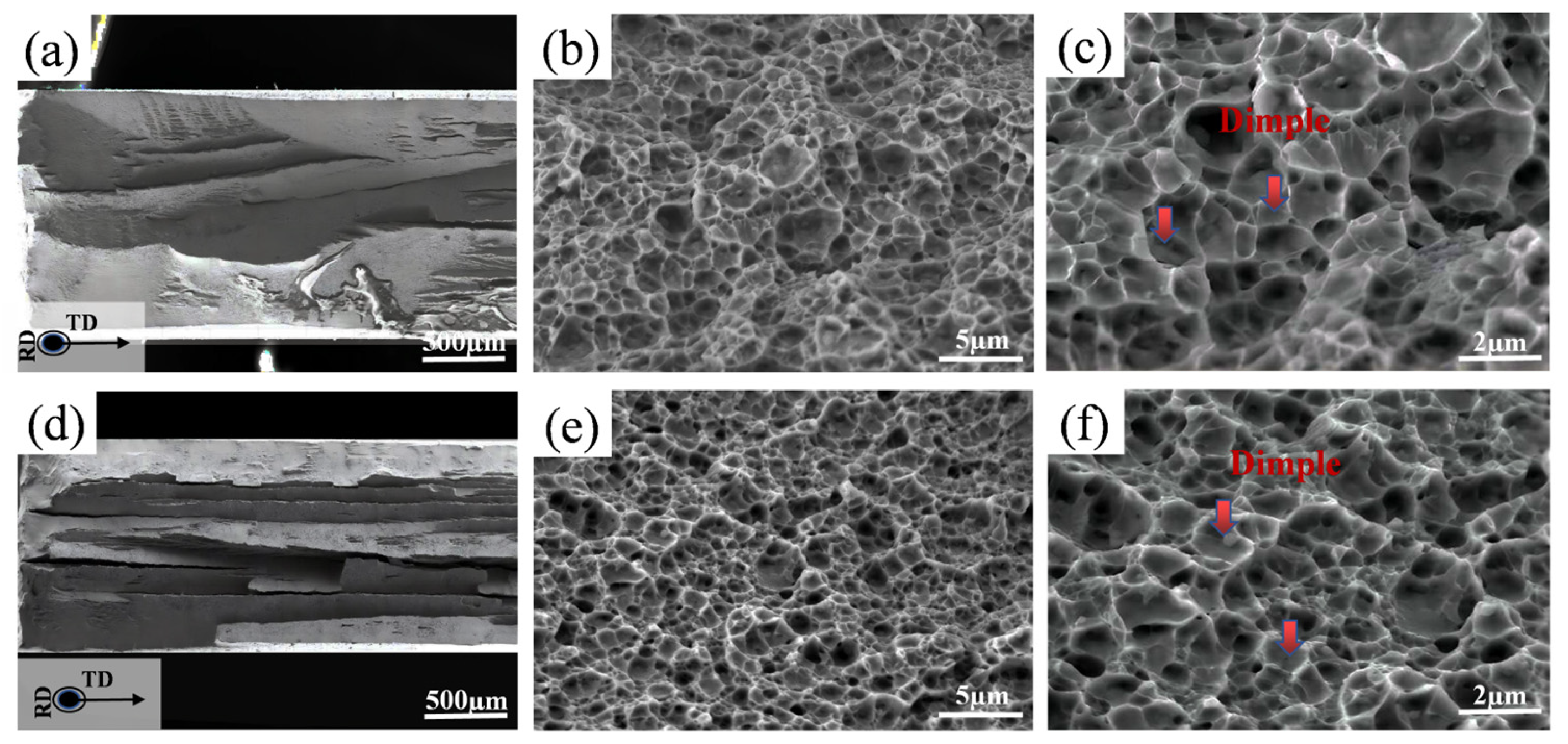 Metals 15 00397 g010