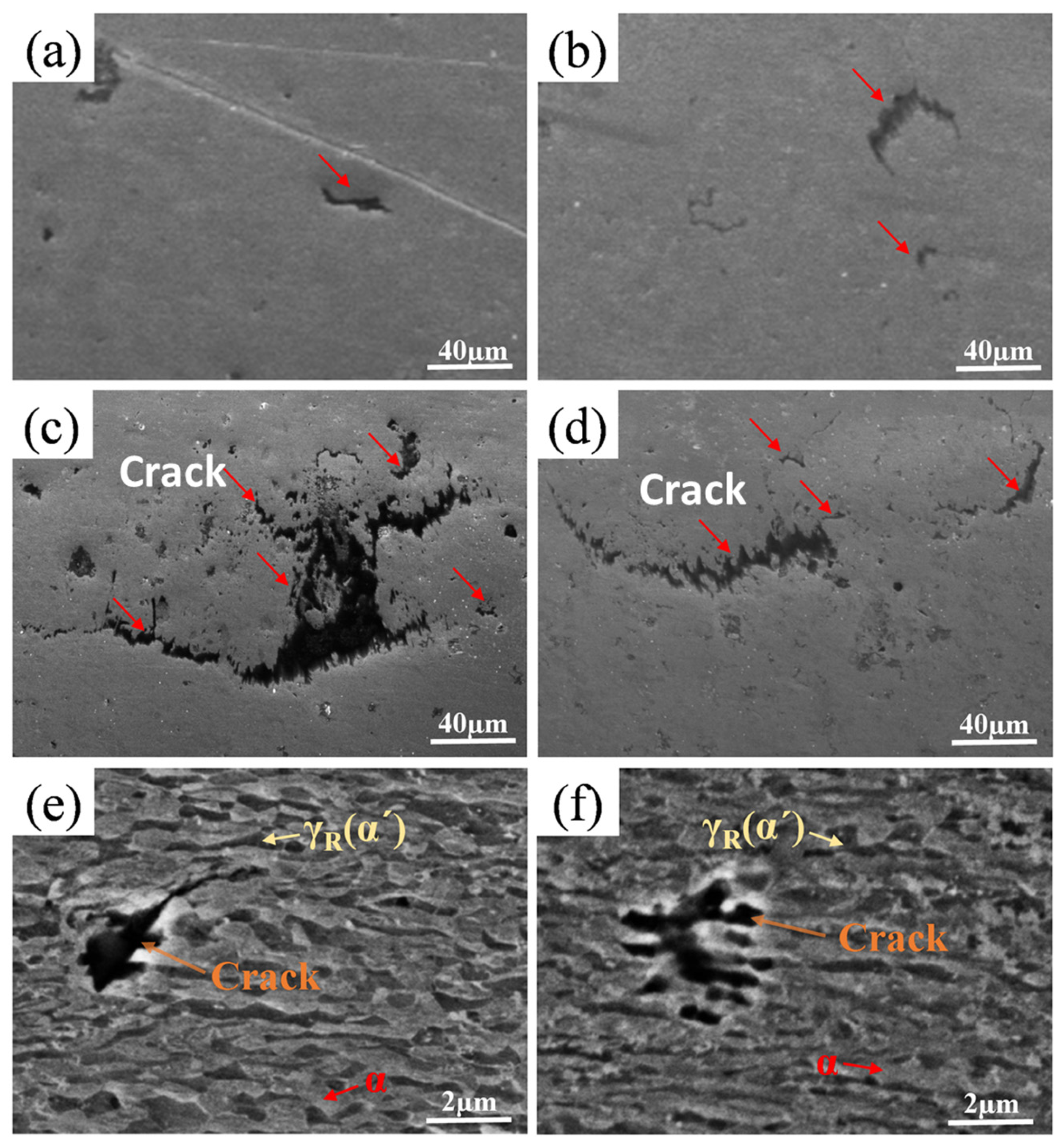 Metals 15 00397 g012