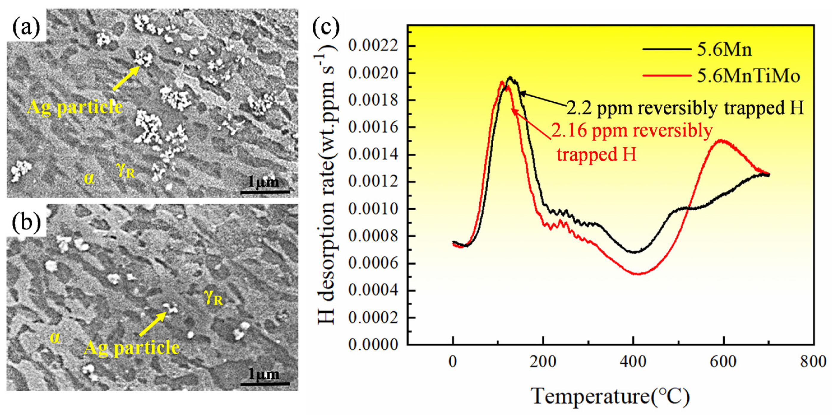 Metals 15 00397 g013