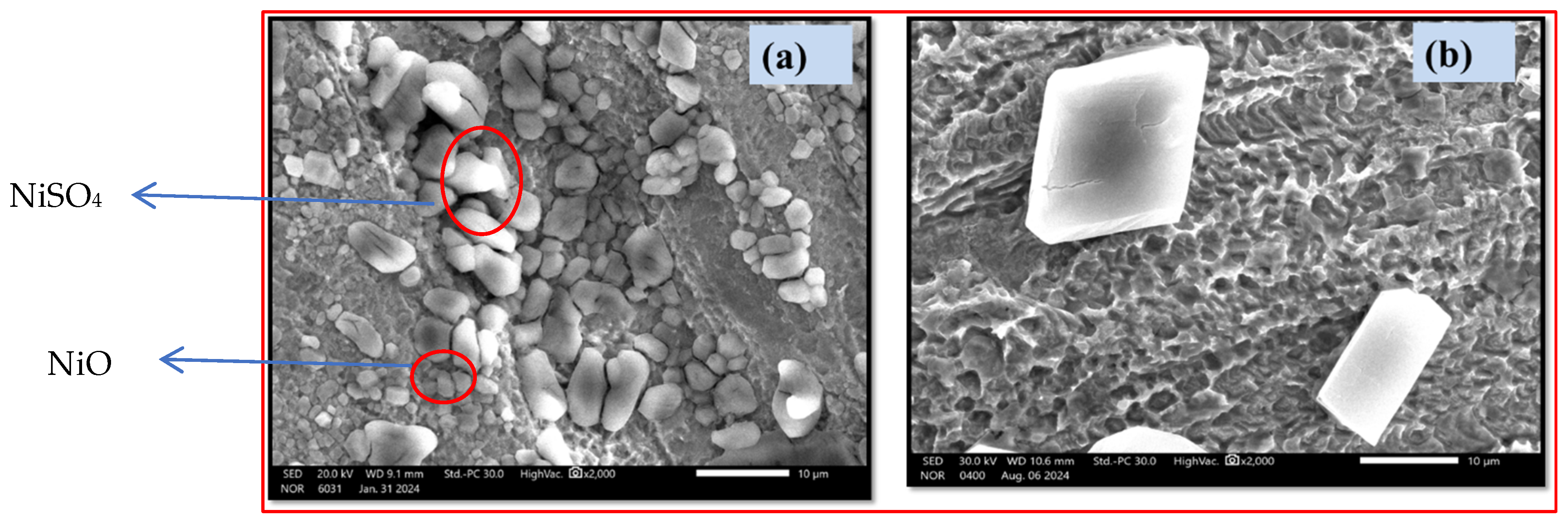 Metals 15 00403 g013