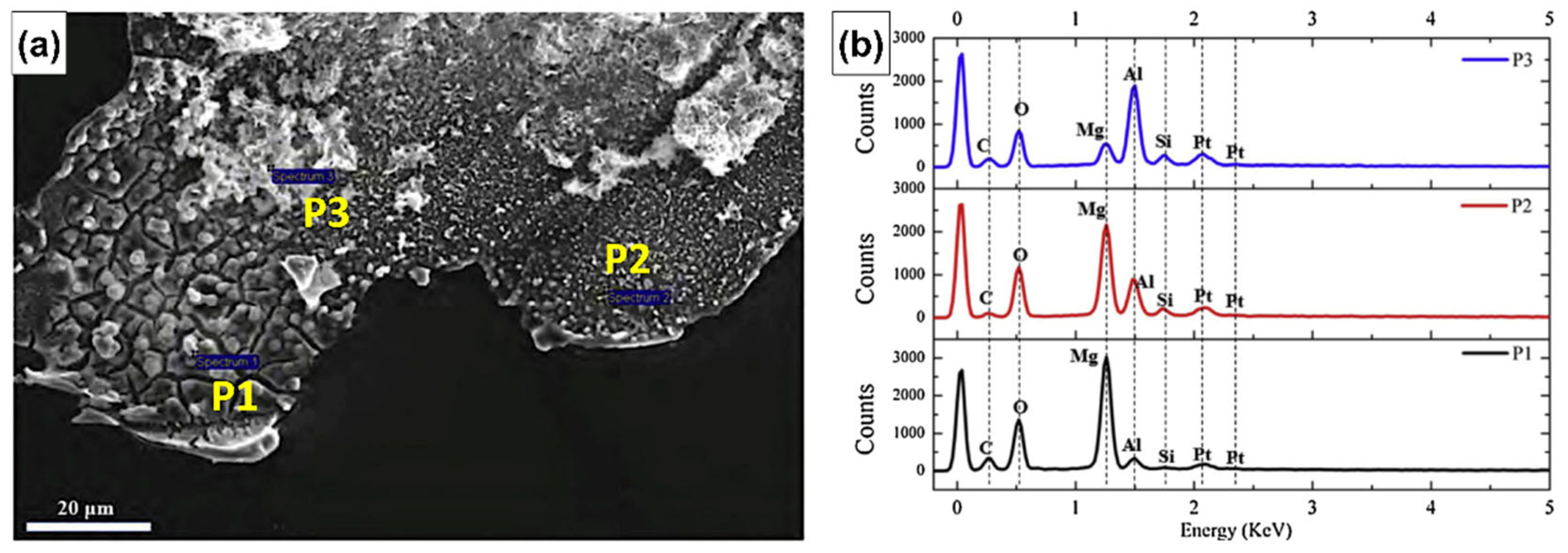 Metals 15 00404 g004