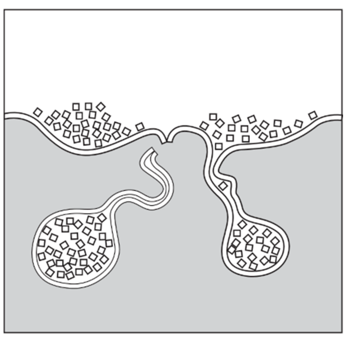 Metals 15 00404 g019