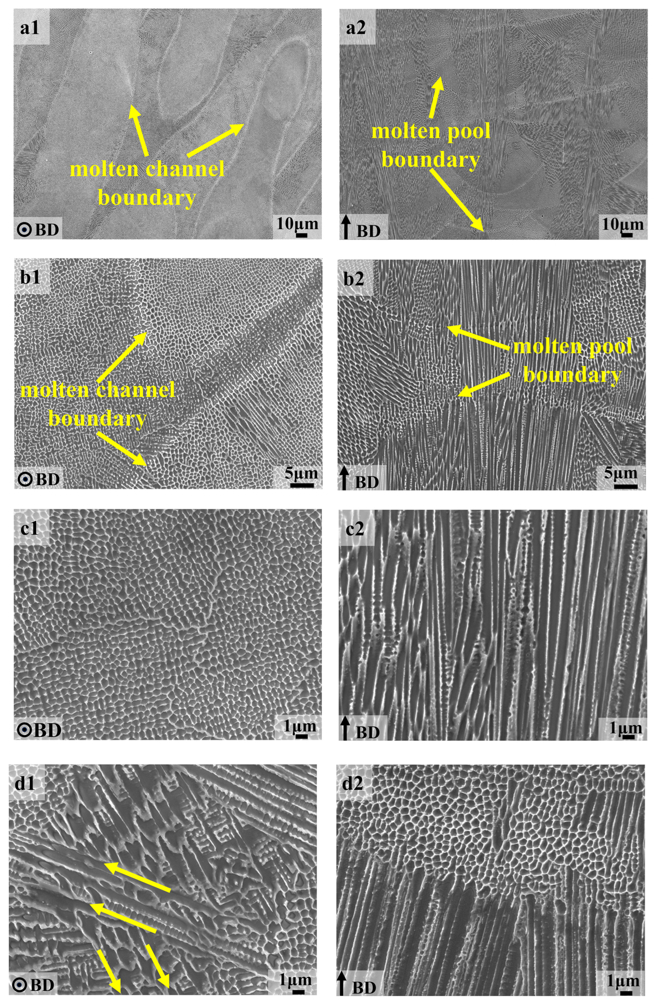 Metals 15 00405 g005
