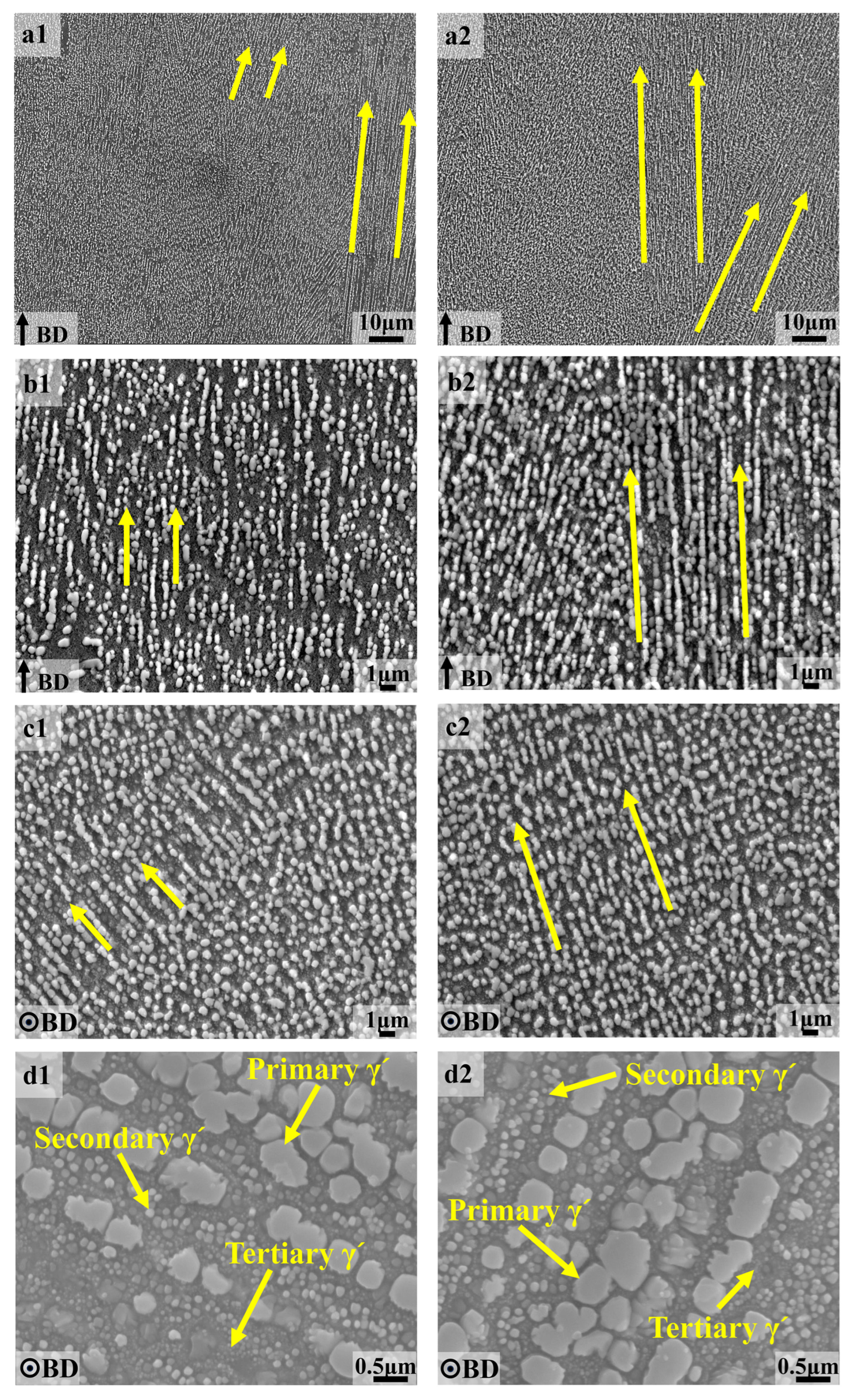 Metals 15 00405 g006