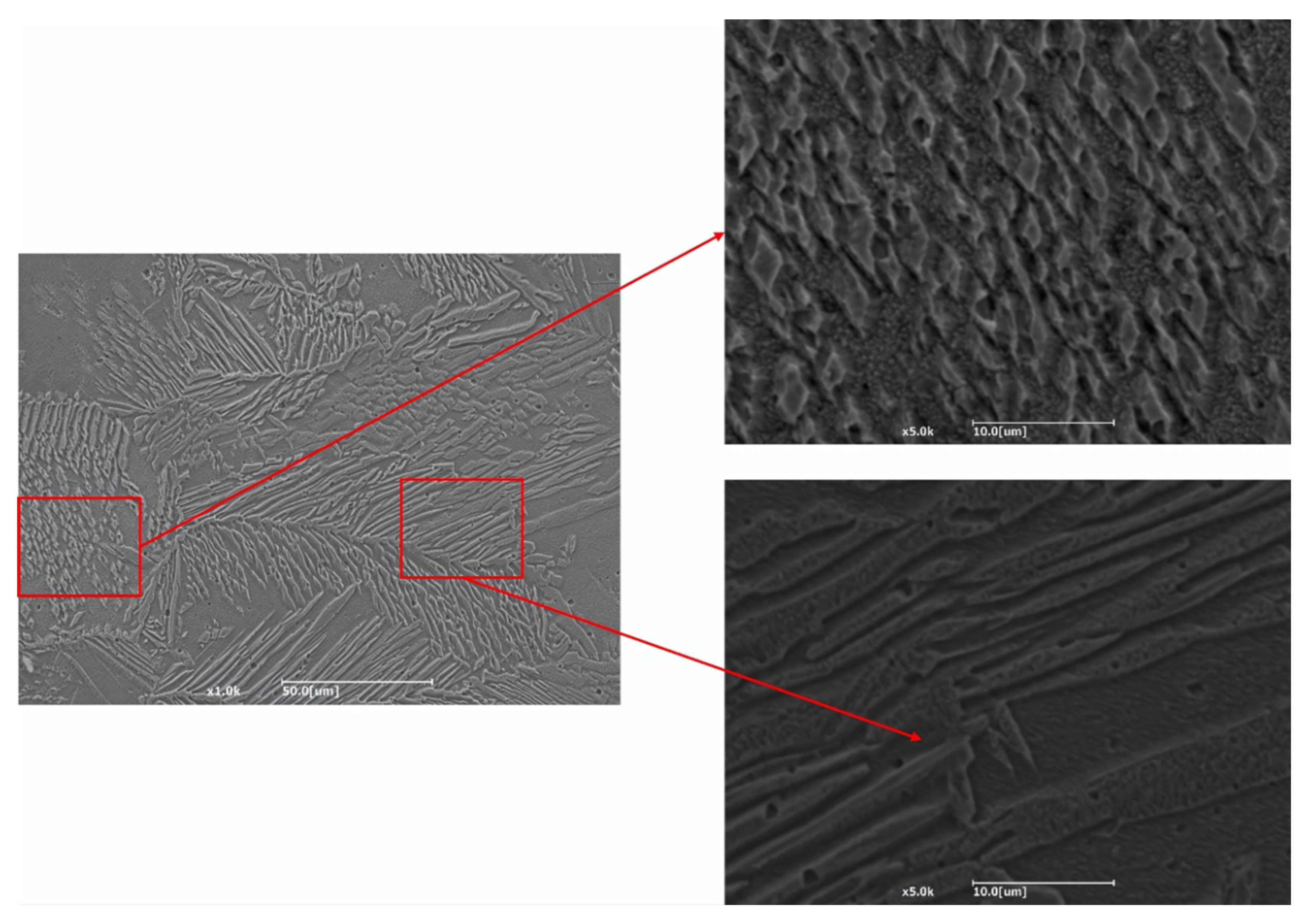 Metals 15 00406 g008