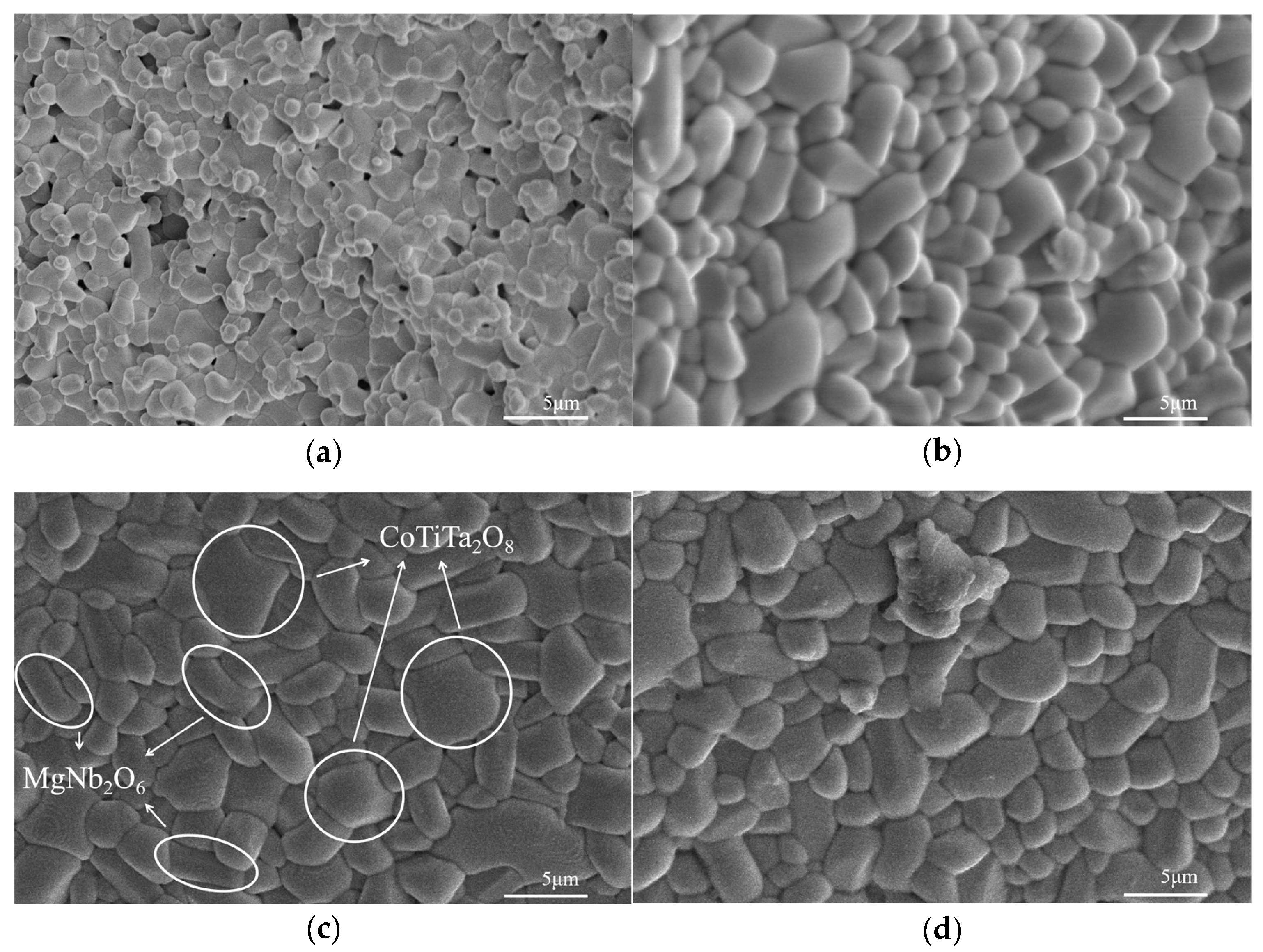 Metals 15 00407 g004a