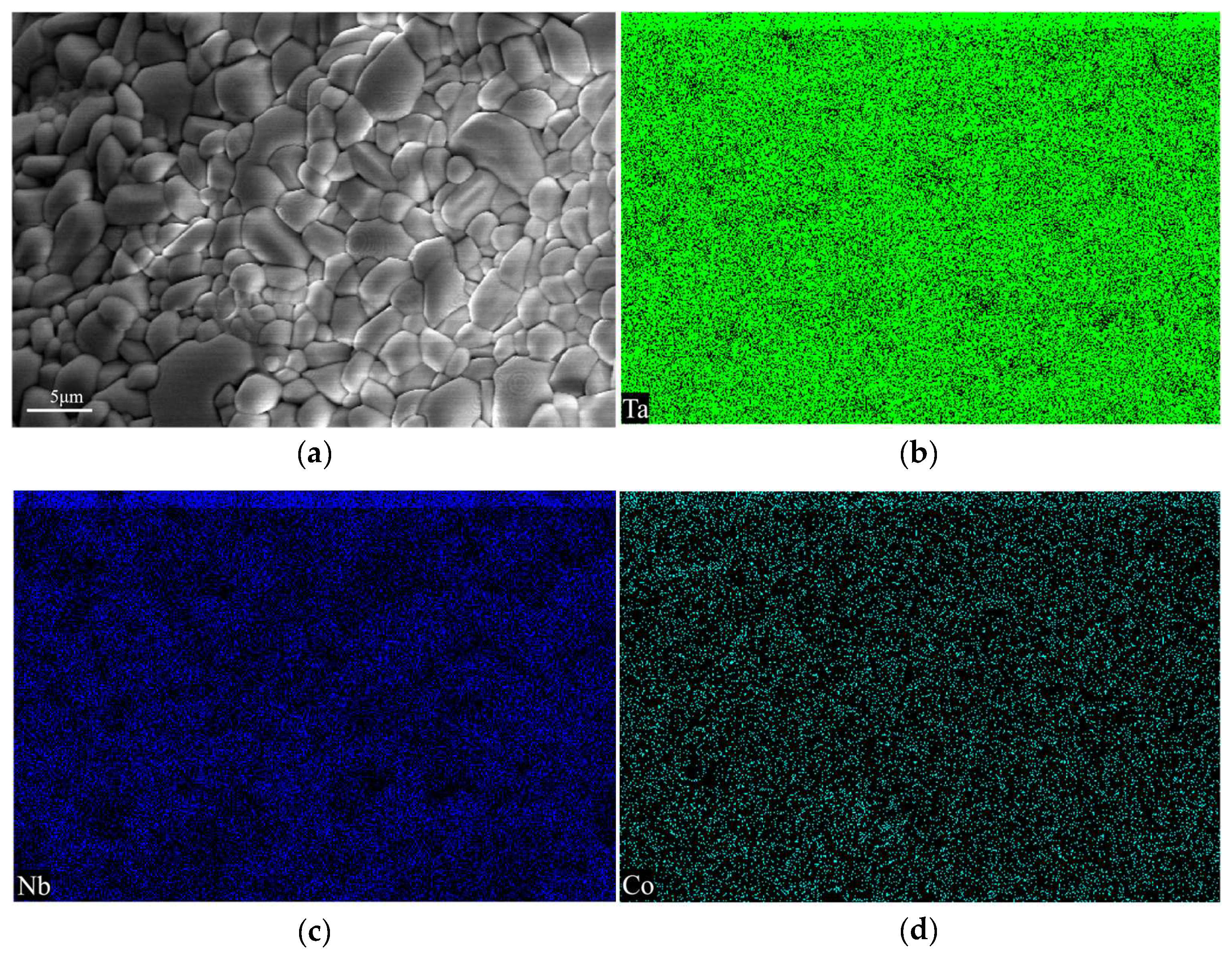 Metals 15 00407 g005a