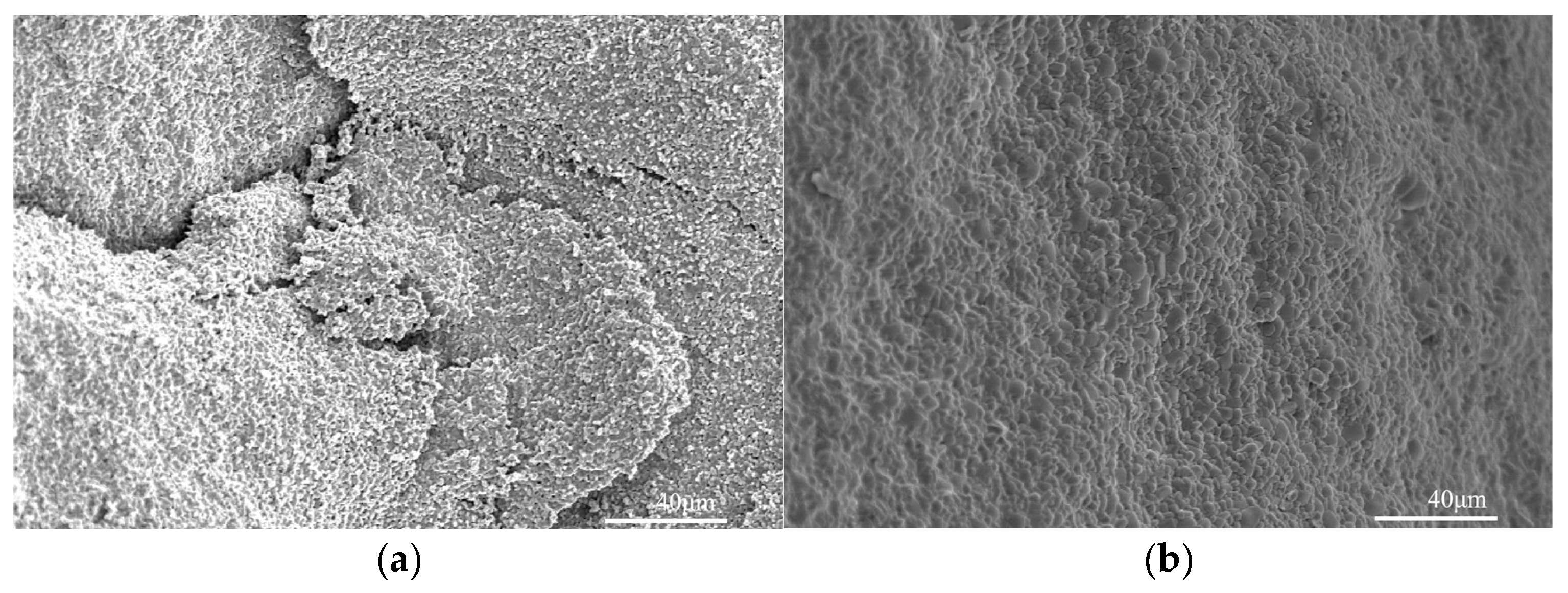 Metals 15 00407 g006a