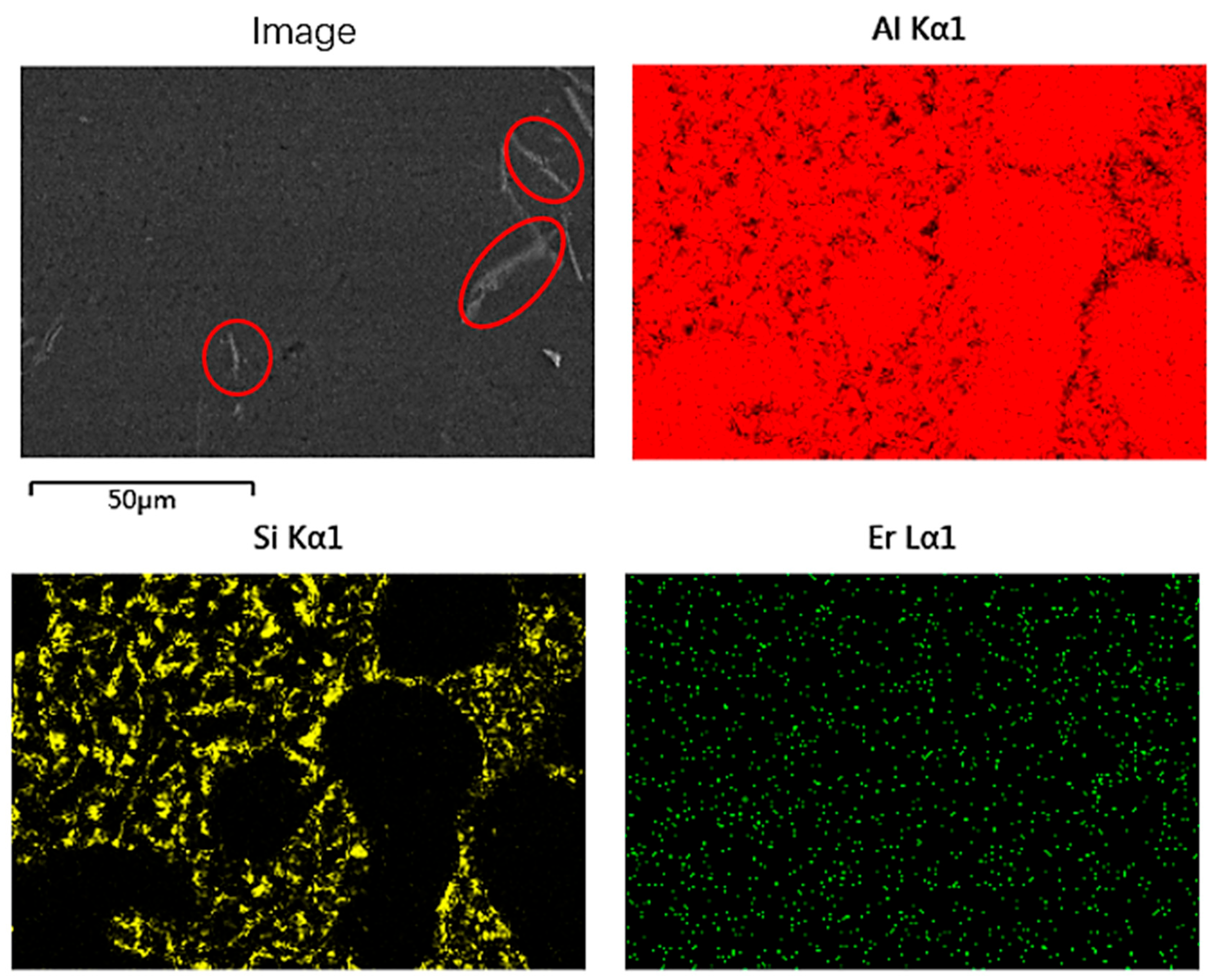 Metals 15 00413 g008