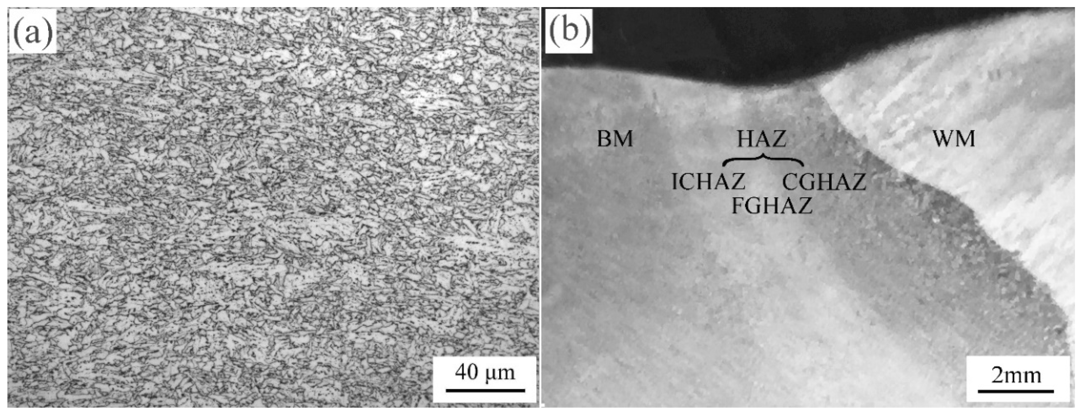 Metals 15 00414 g001