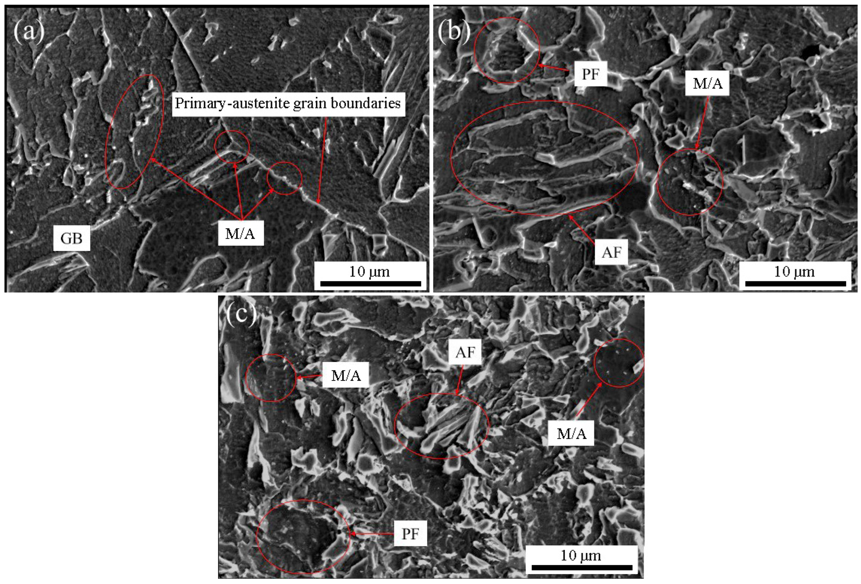 Metals 15 00414 g005